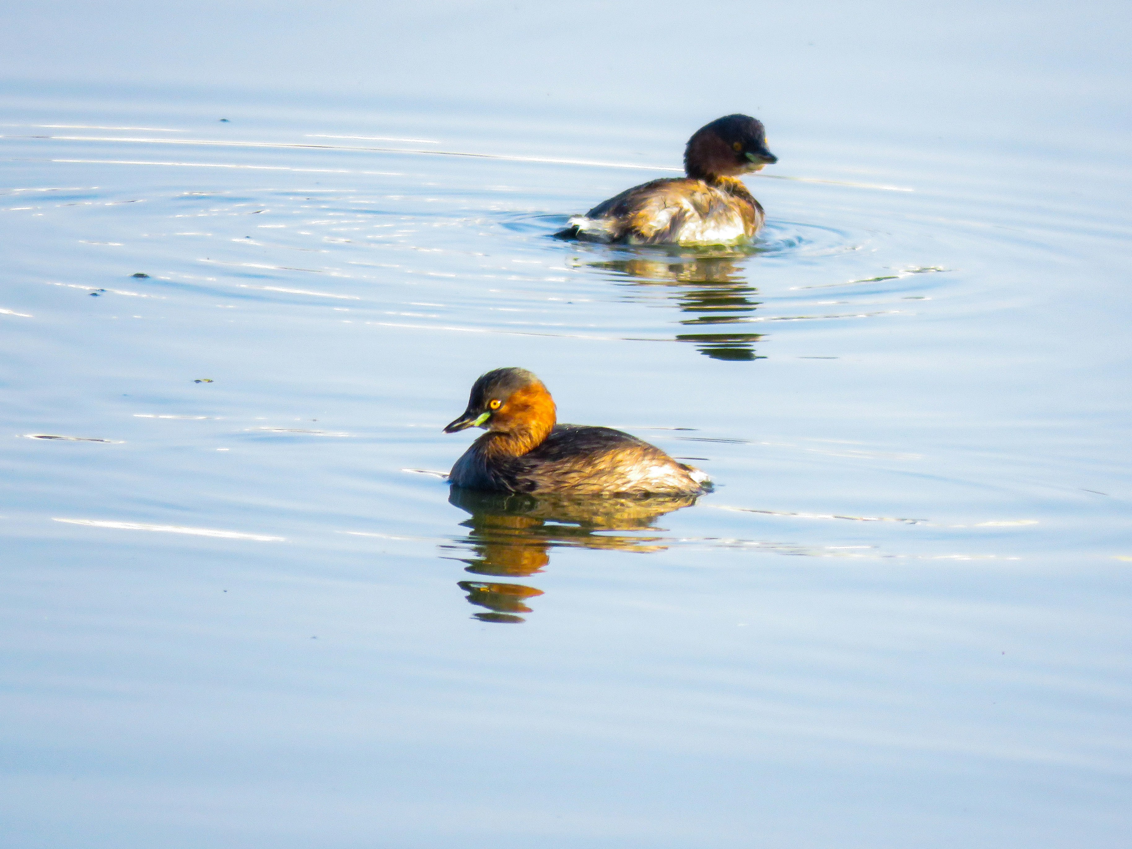 Photo by anandramavath_786