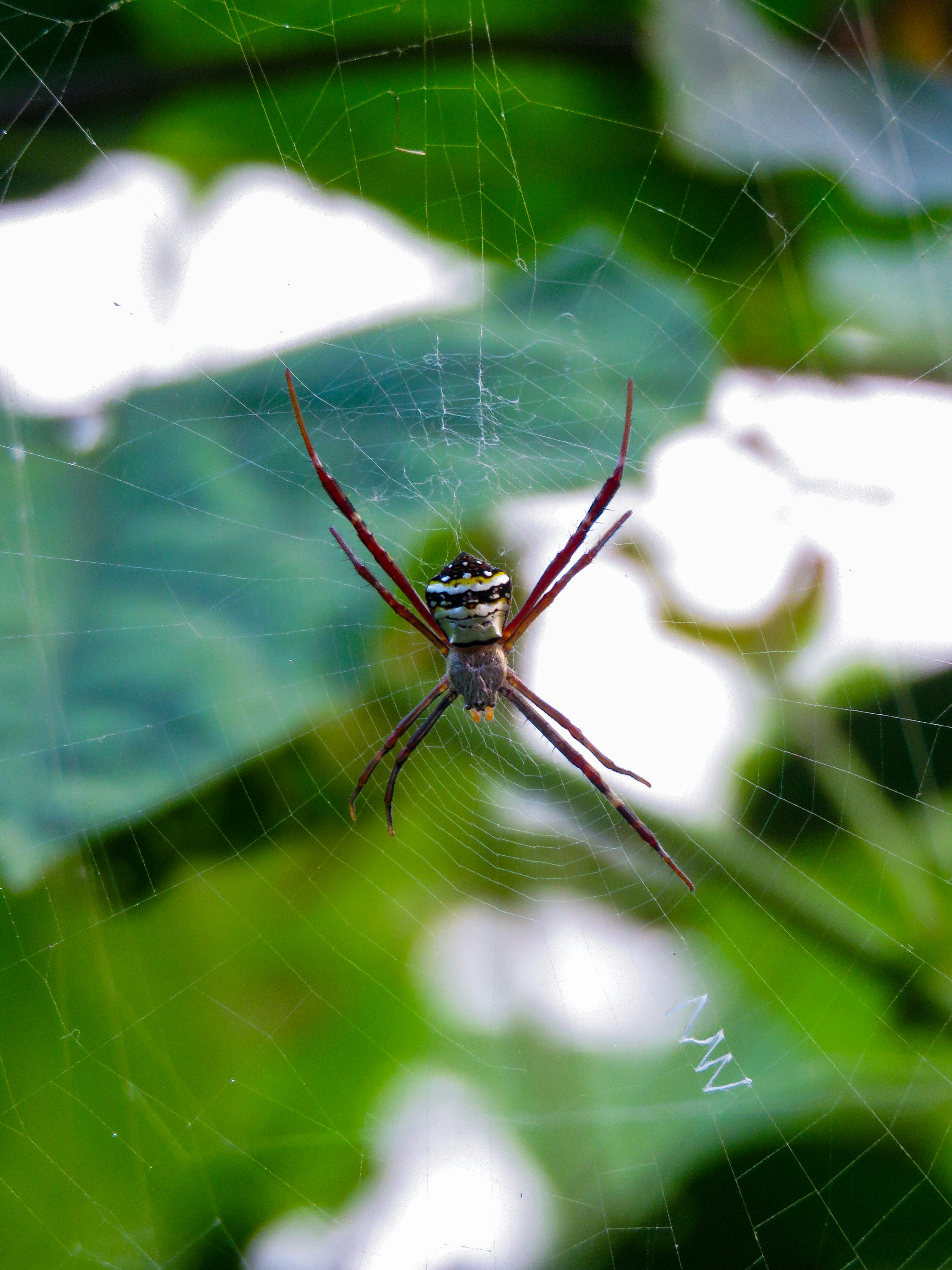 Photo by anandramavath_786