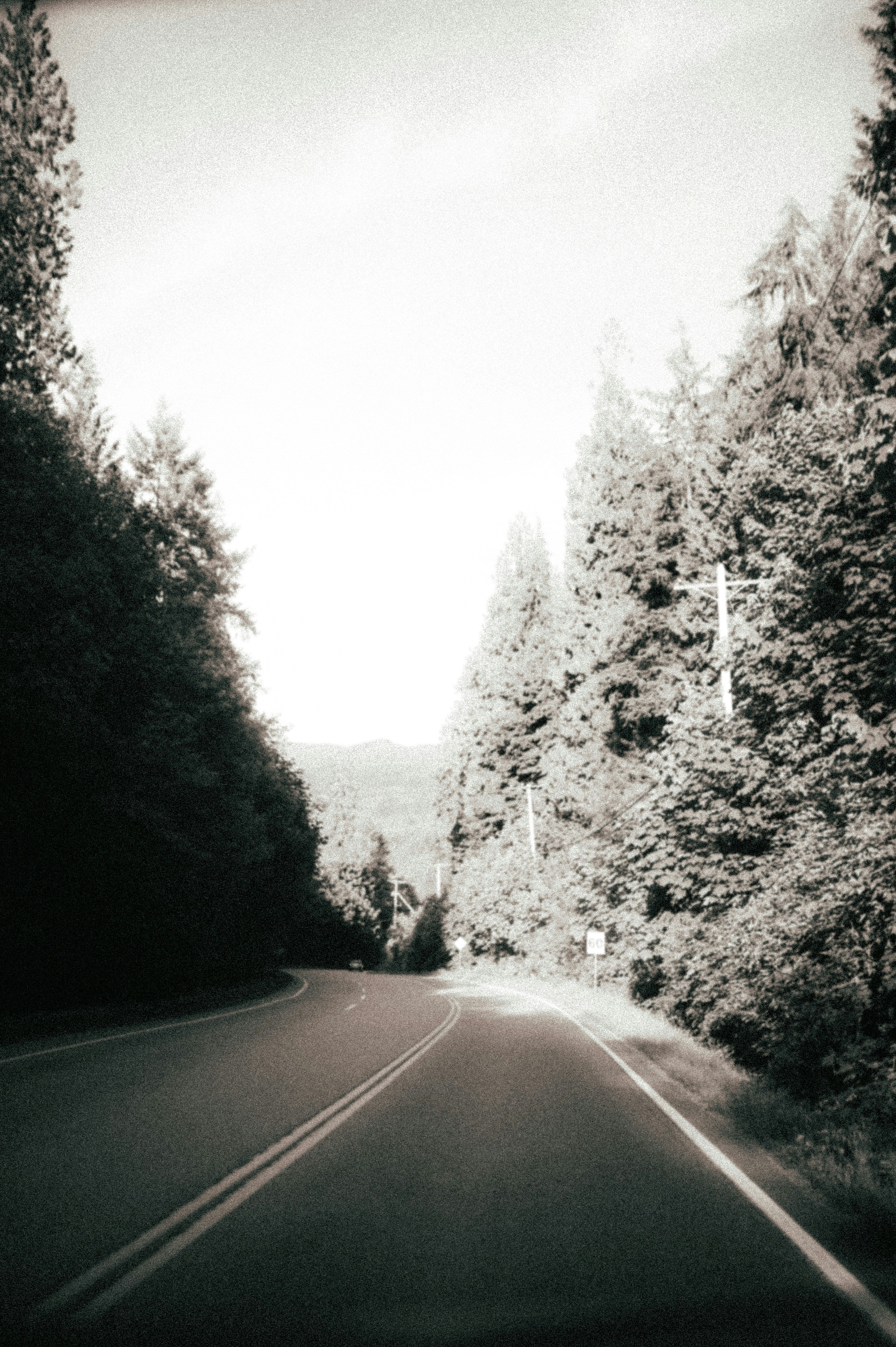 Photo by bylukemiller