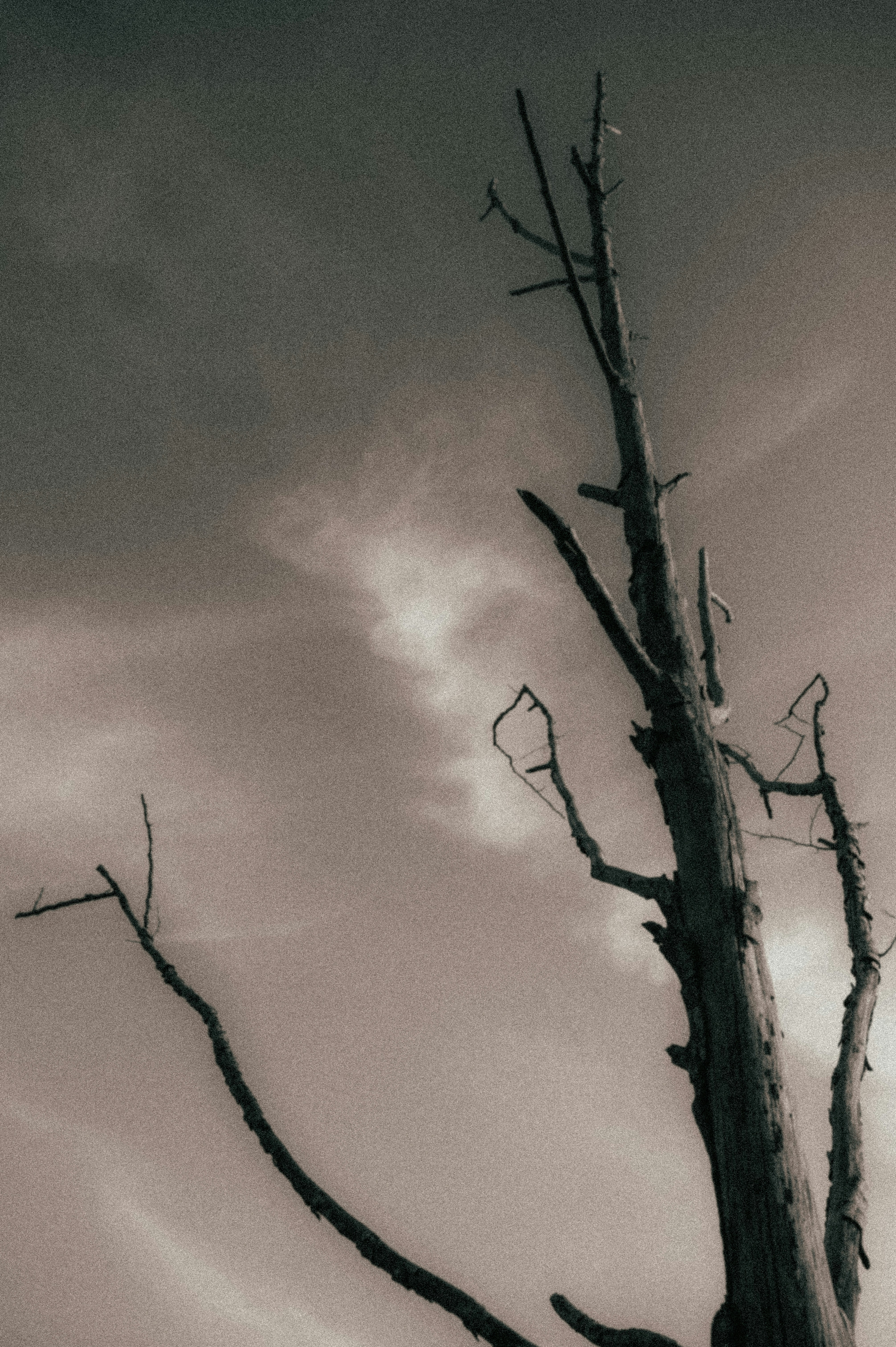 Photo by bylukemiller