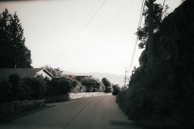 A quiet street scene with muted colors and simple composition.