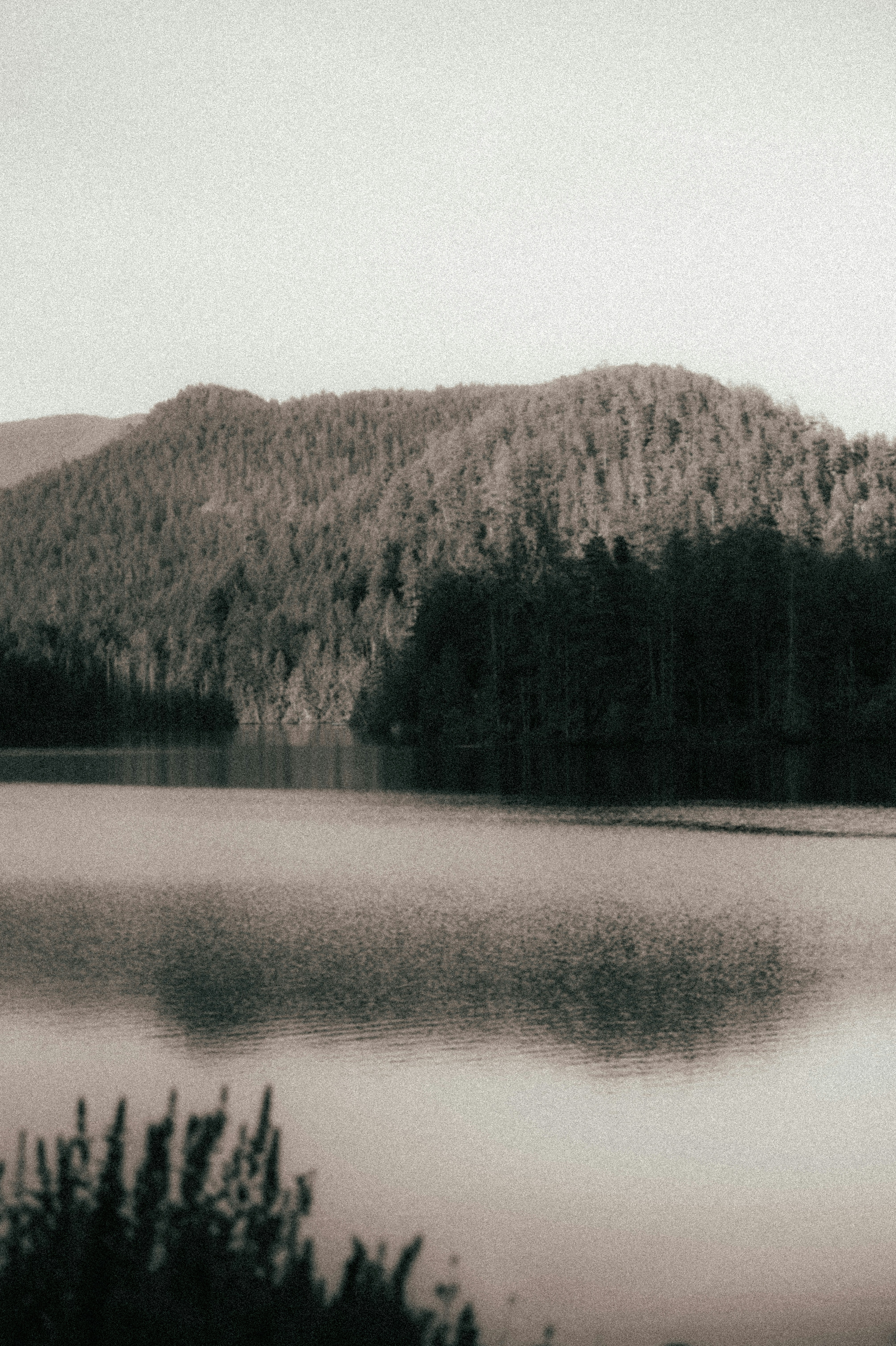 Photo by bylukemiller