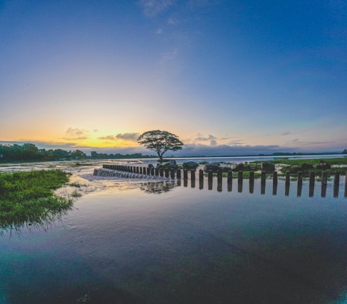 A tranquil scene of a river landscape at dusk with calm waters reflecting the vibrant colors of the sky. A solitary tree stands beside a series of evenly spaced wooden pillars extending into the water, creating a peaceful and harmonious composition.