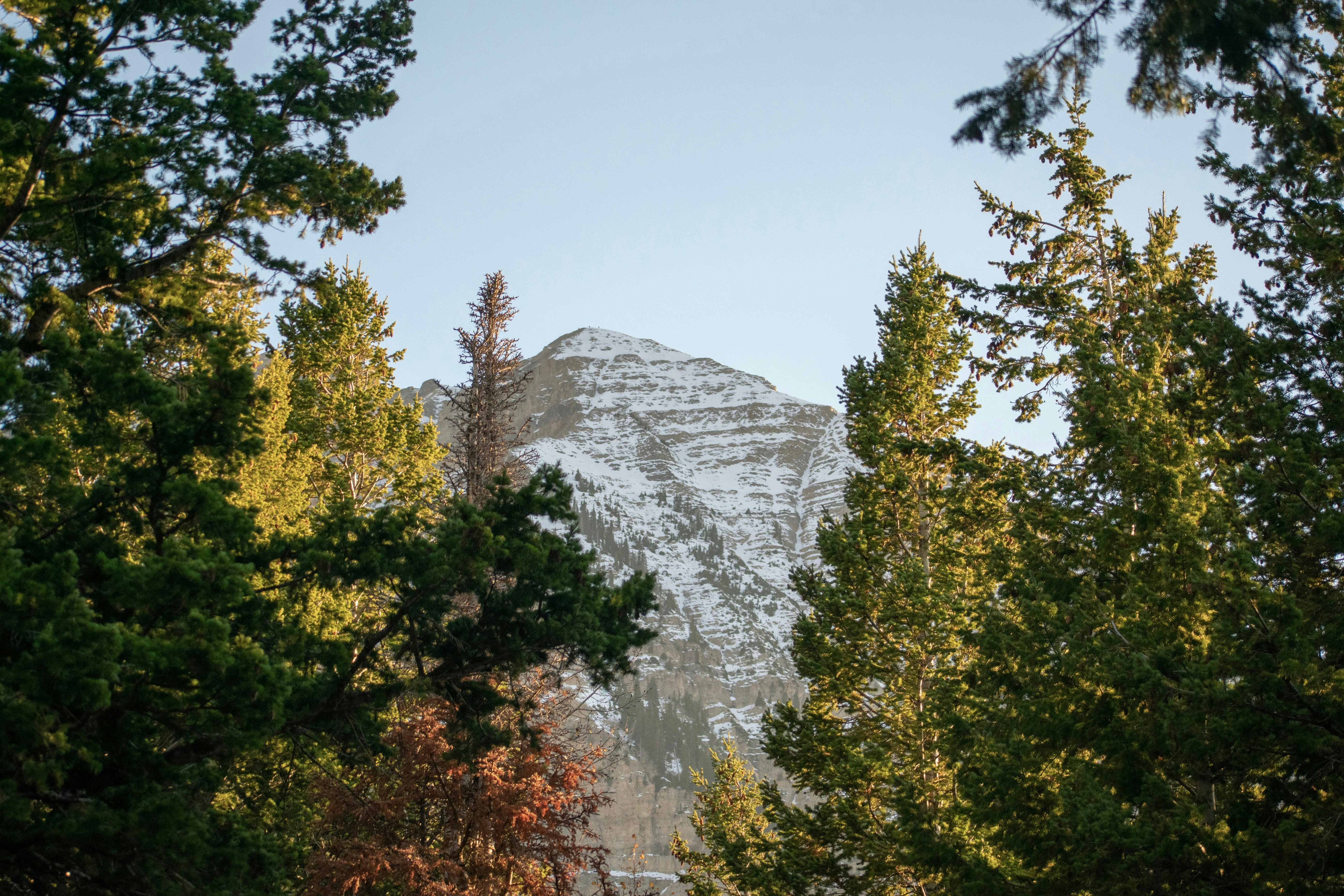 Photo by claire_oler