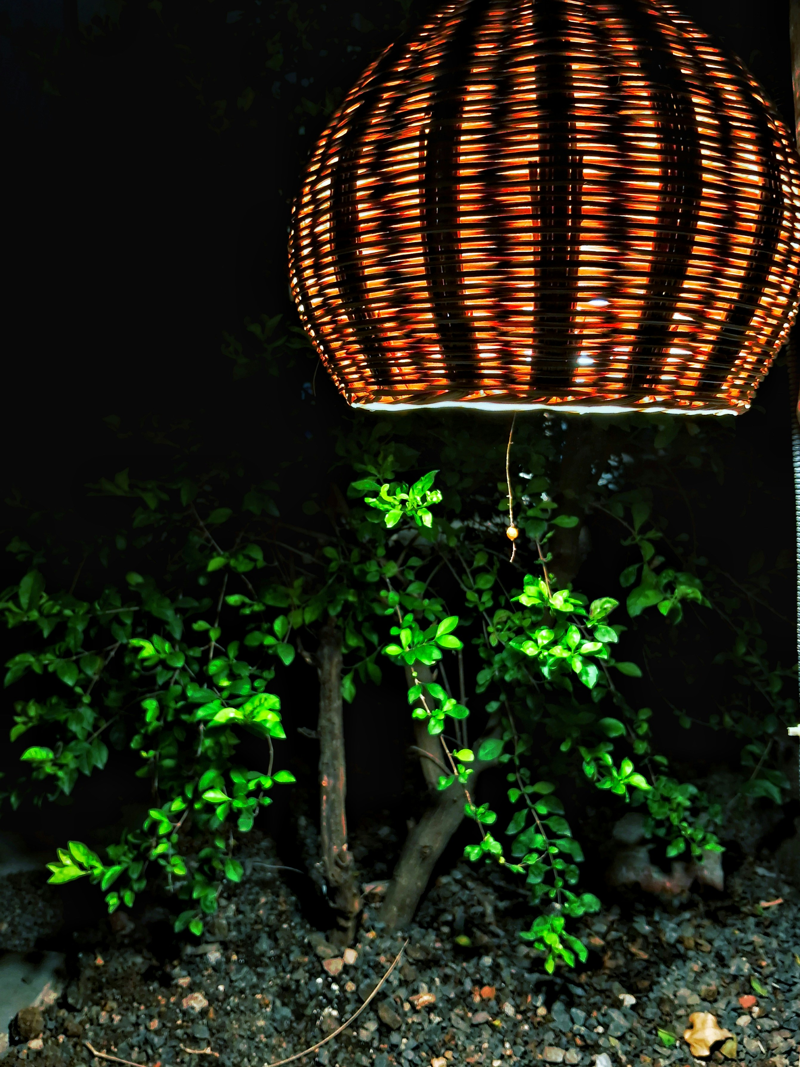 outdoor lighting