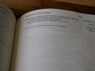 An open page from a book titled 'The Books of the Prophets' is shown with text written in English. The page number is 683, and there are references to Ephraim, idols, and a juniper. The text is printed in a clear, serif font, and there are annotations or notes at the bottom of the page.