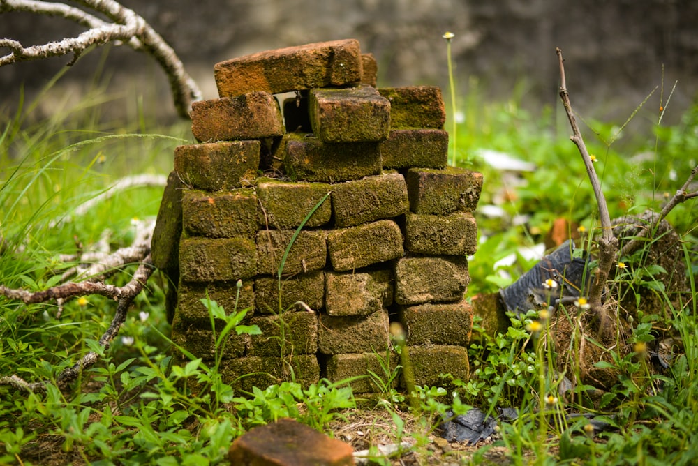 a pile of bricks sitting in the grass