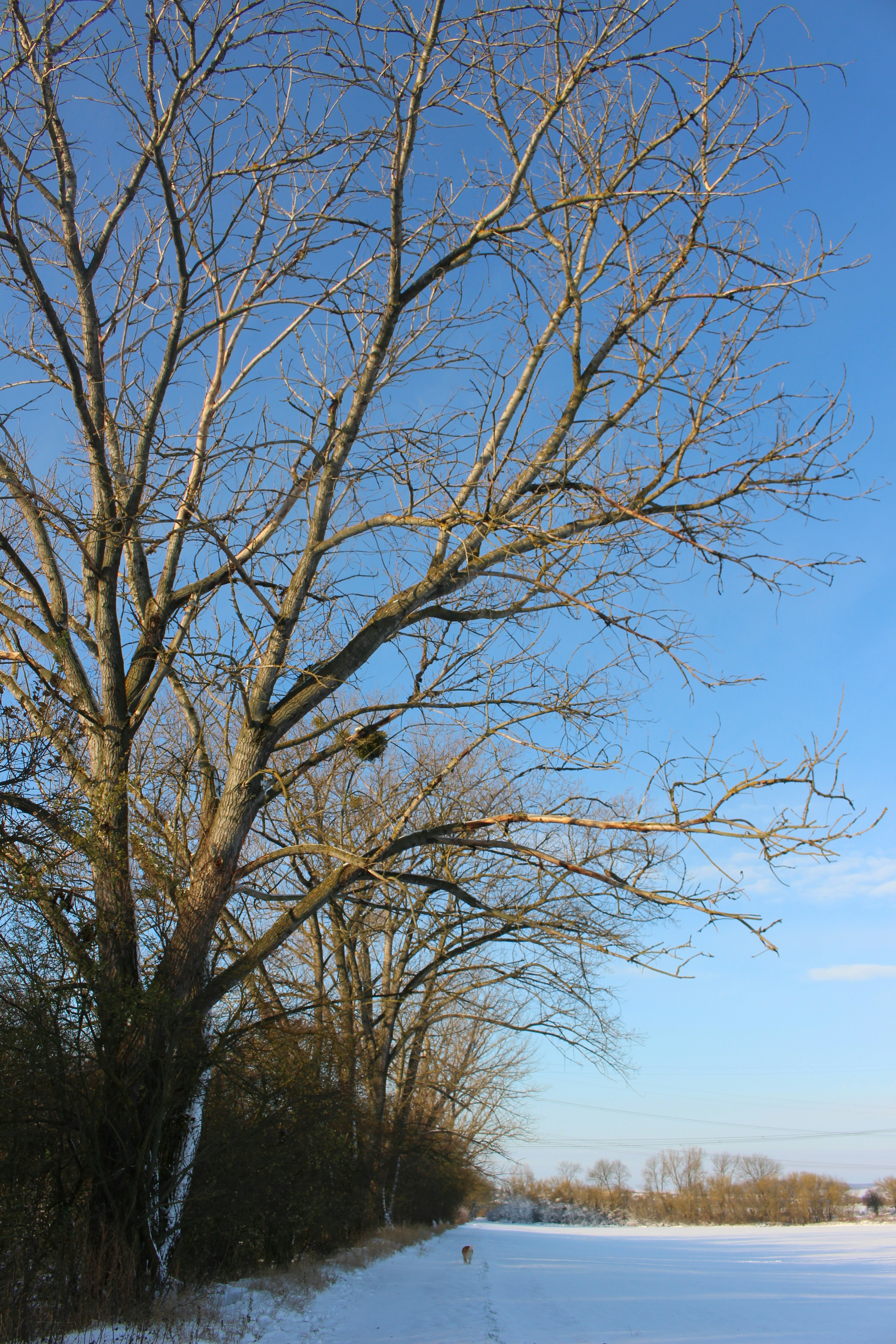 Photo by marjorylucabaxter