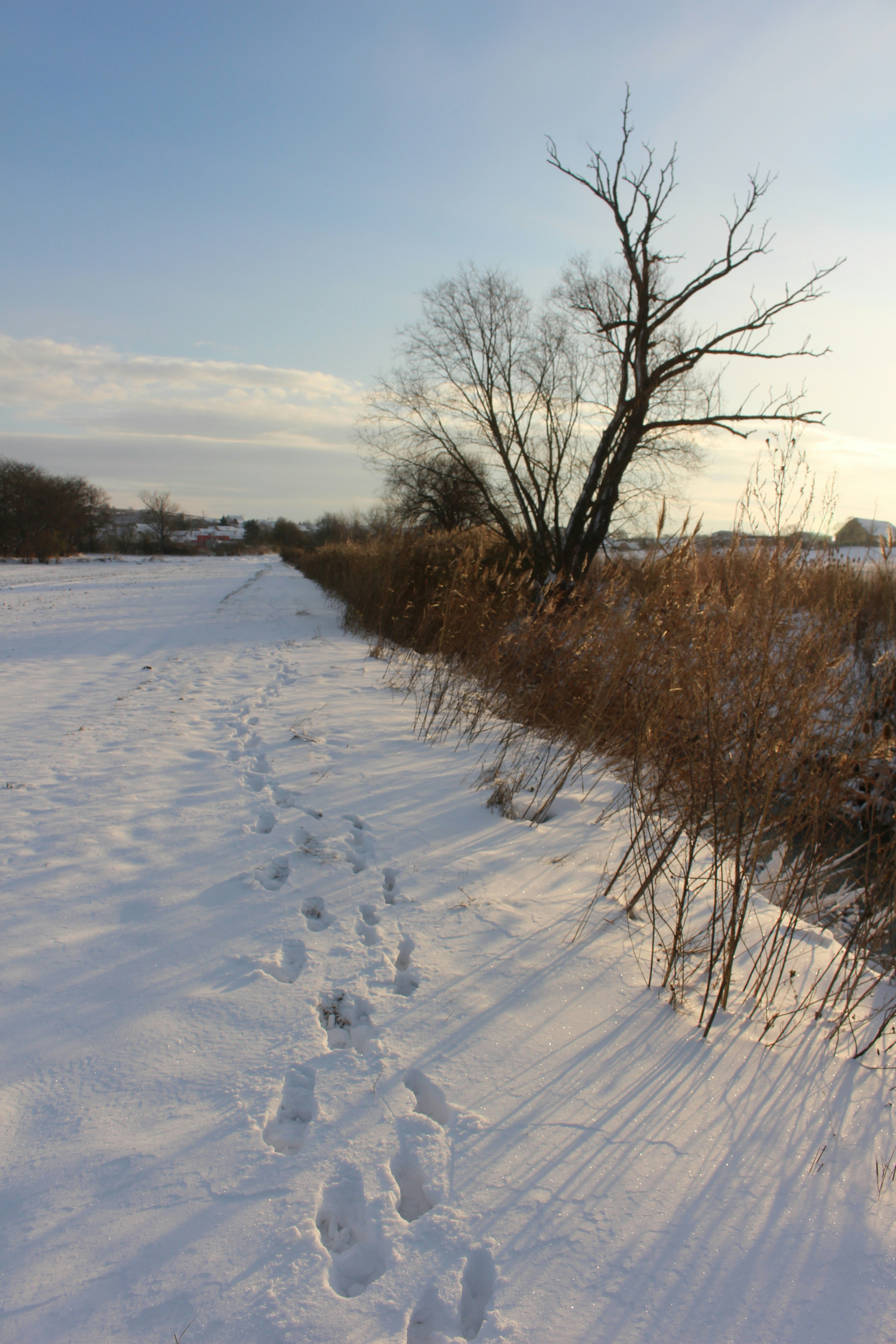 Photo by marjorylucabaxter