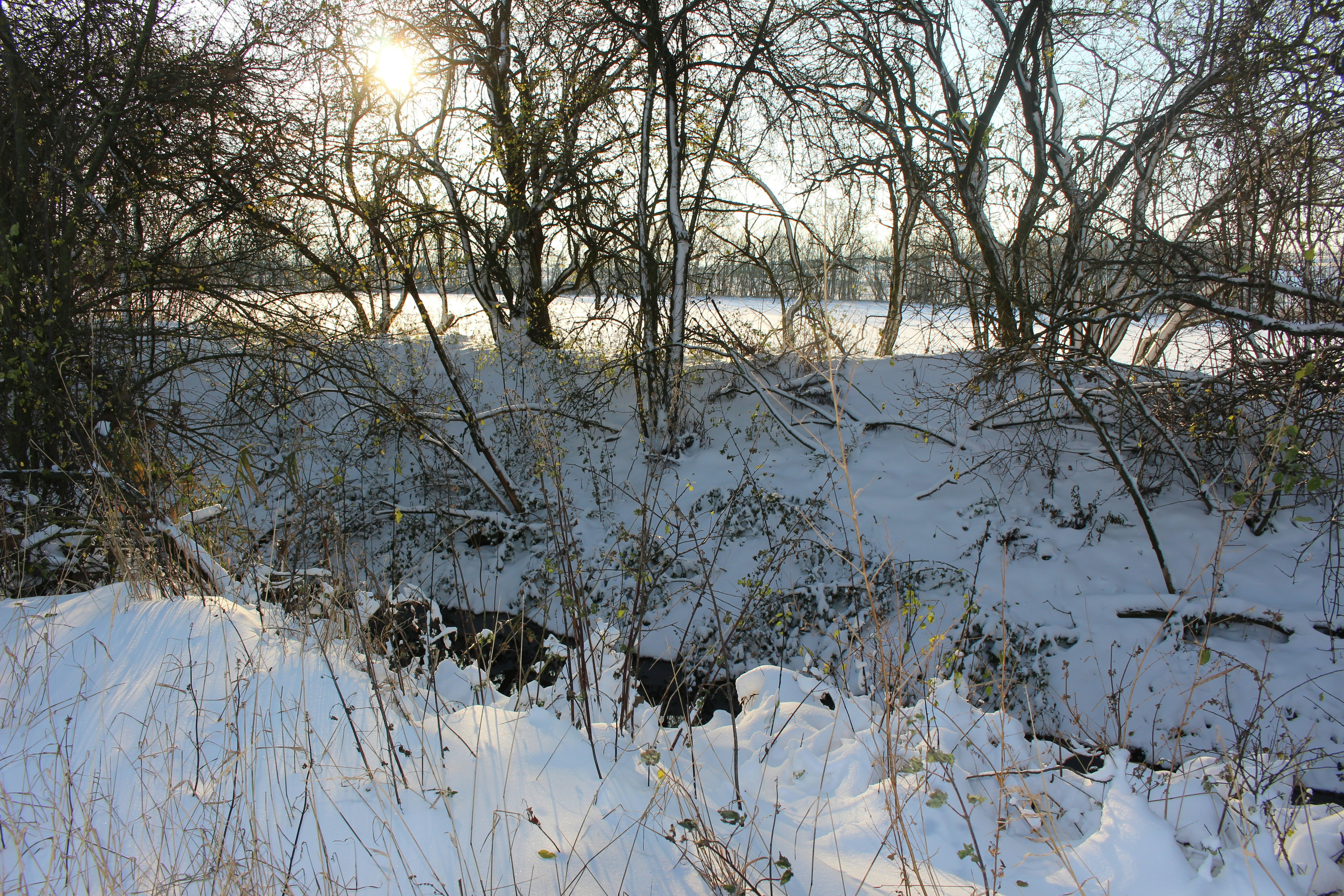 Photo by marjorylucabaxter