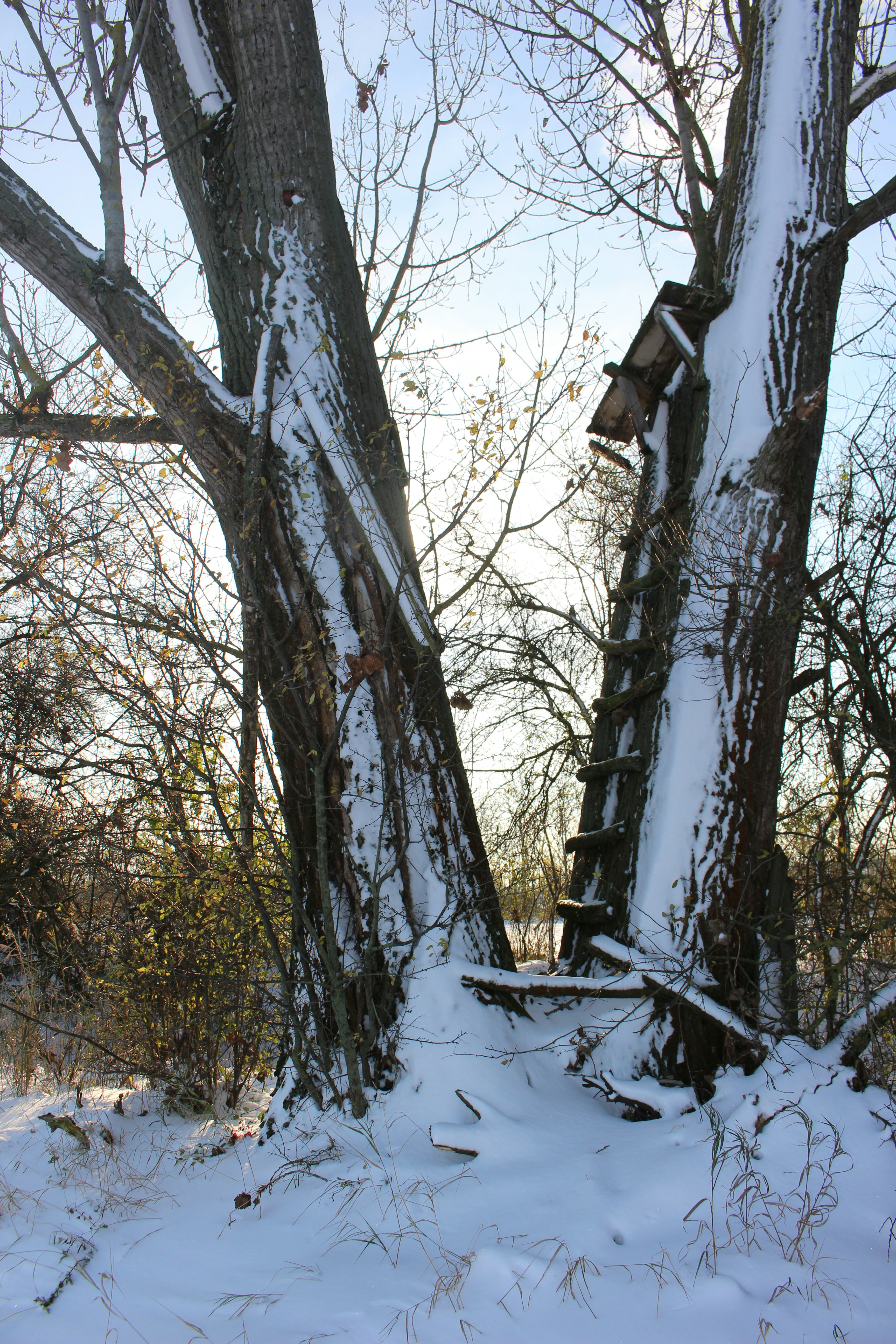 Photo by marjorylucabaxter