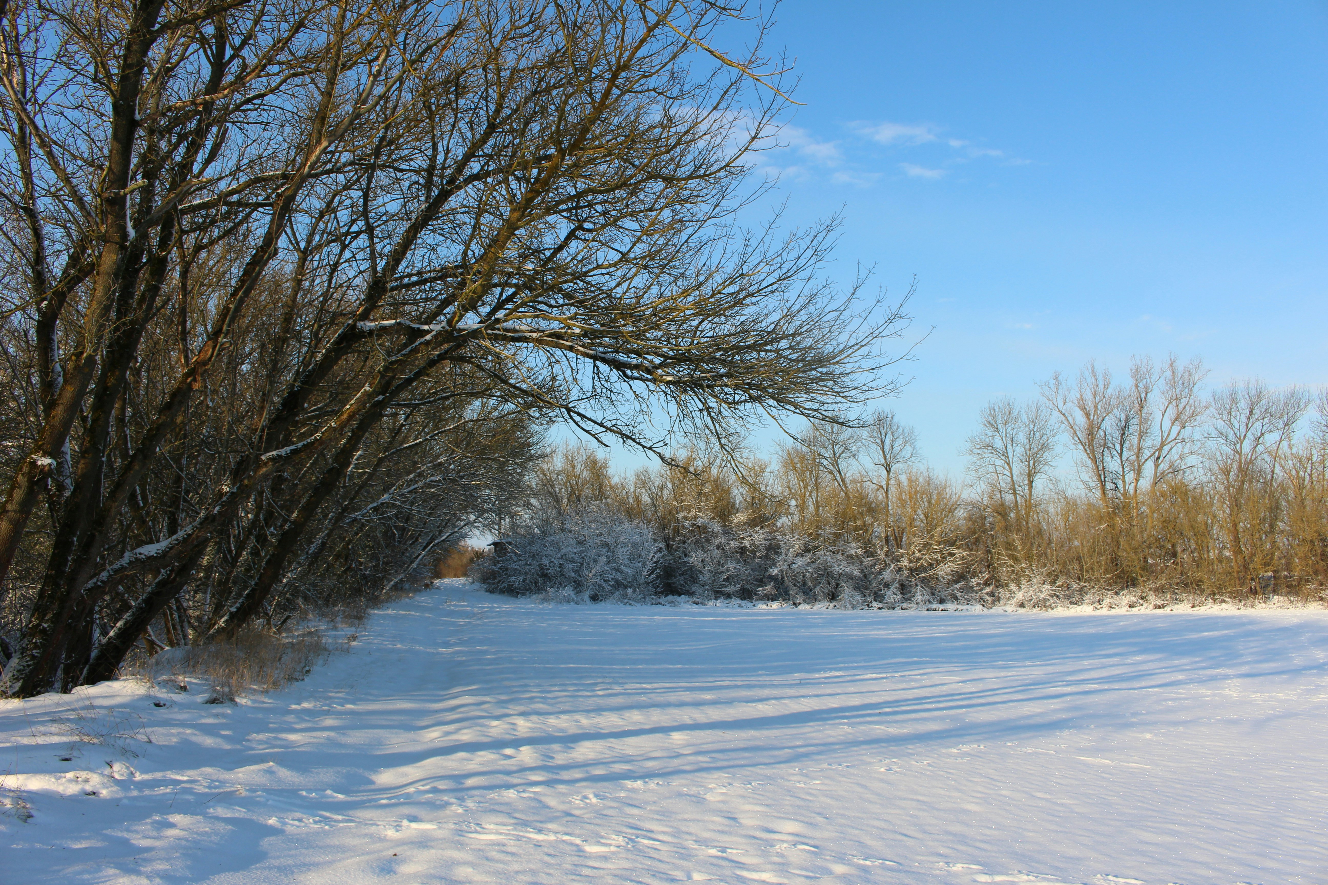 Photo by marjorylucabaxter