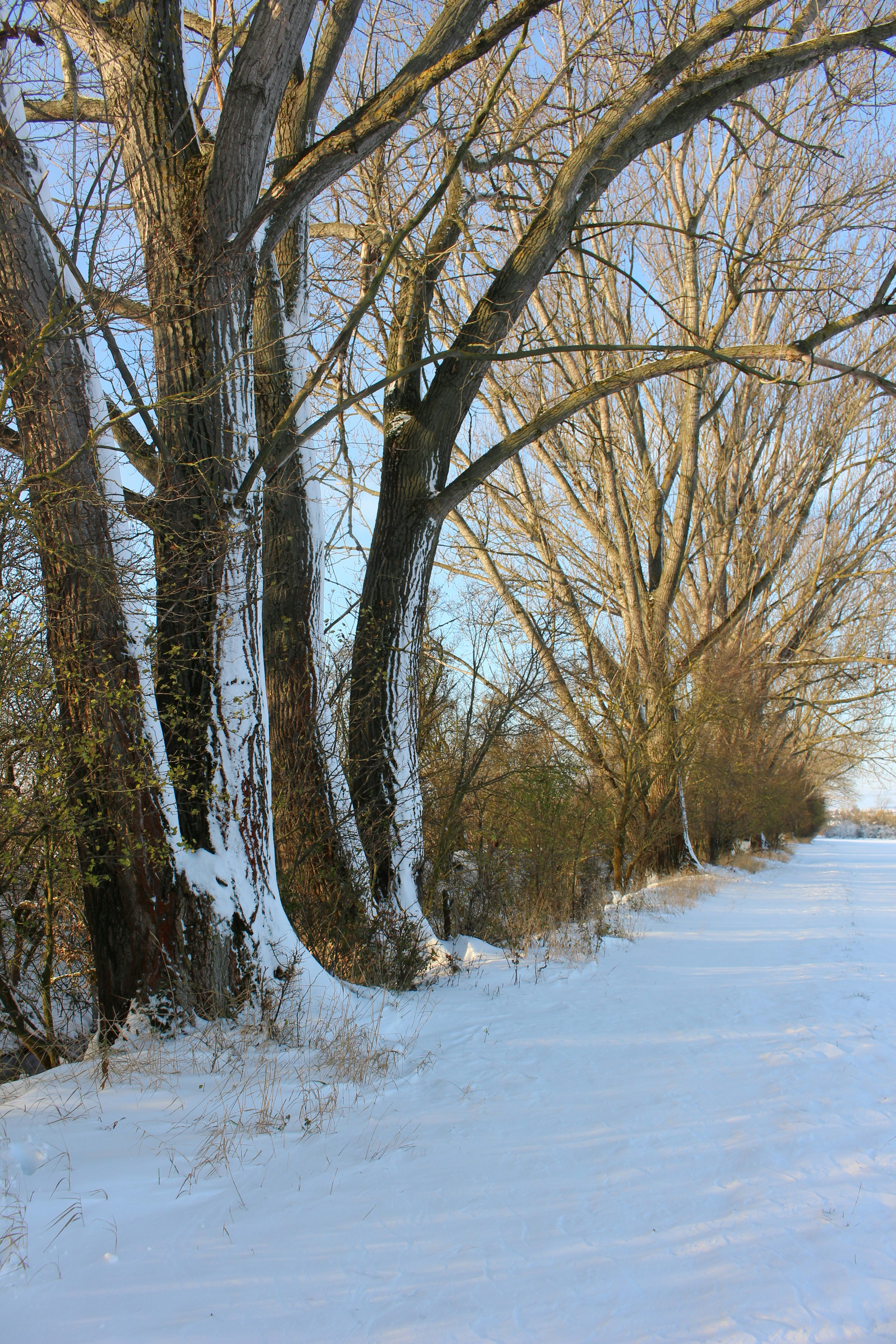 Photo by marjorylucabaxter