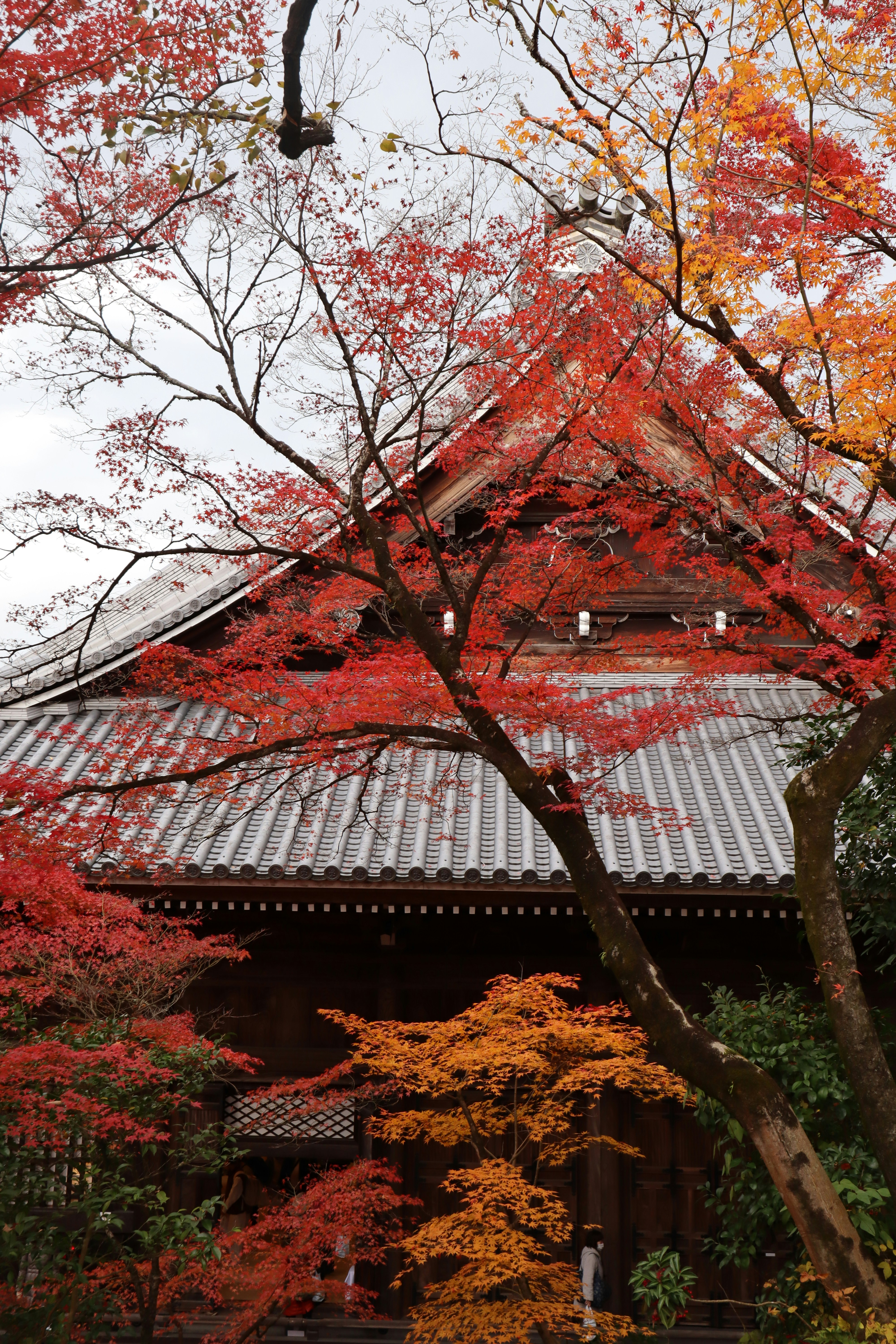 가을 전통문화 체험: 한국의 아름다움을 느끼다