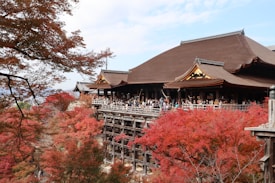 A traditional Japanese temple with a wooden structure is surrounded by vibrant autumn foliage in shades of red and orange. A large crowd of people is gathered on the temple's wooden balcony, enjoying the scenic view. The sky is partially cloudy, providing a serene backdrop to the historical architecture.