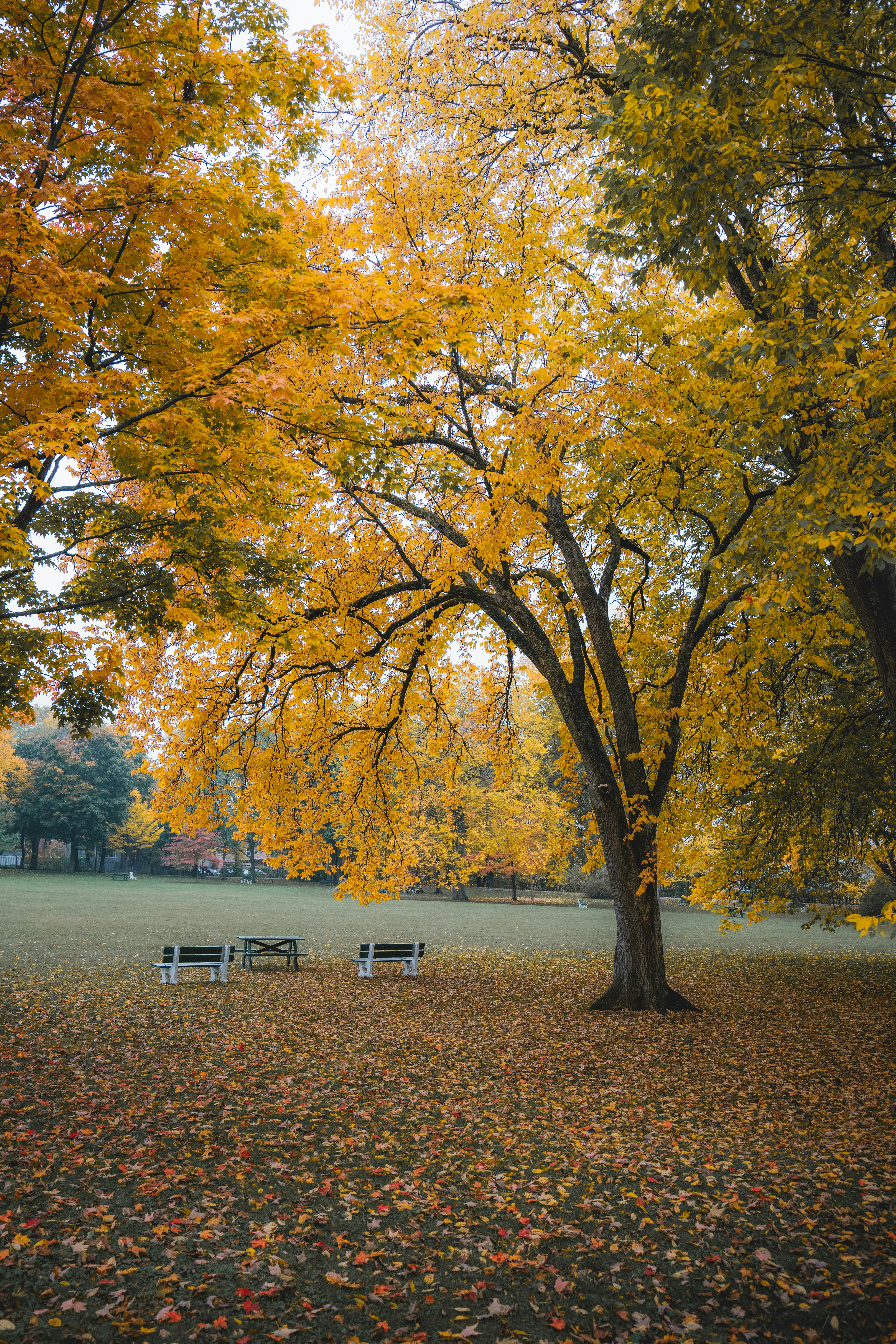 Photo by clementproust