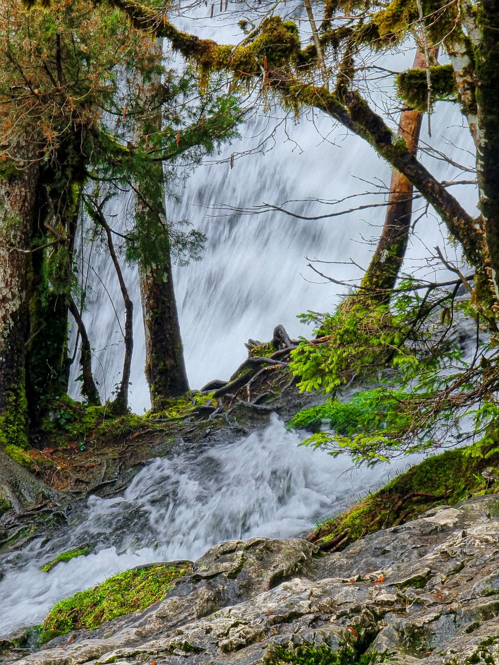 a waterfall in the middle of a forest