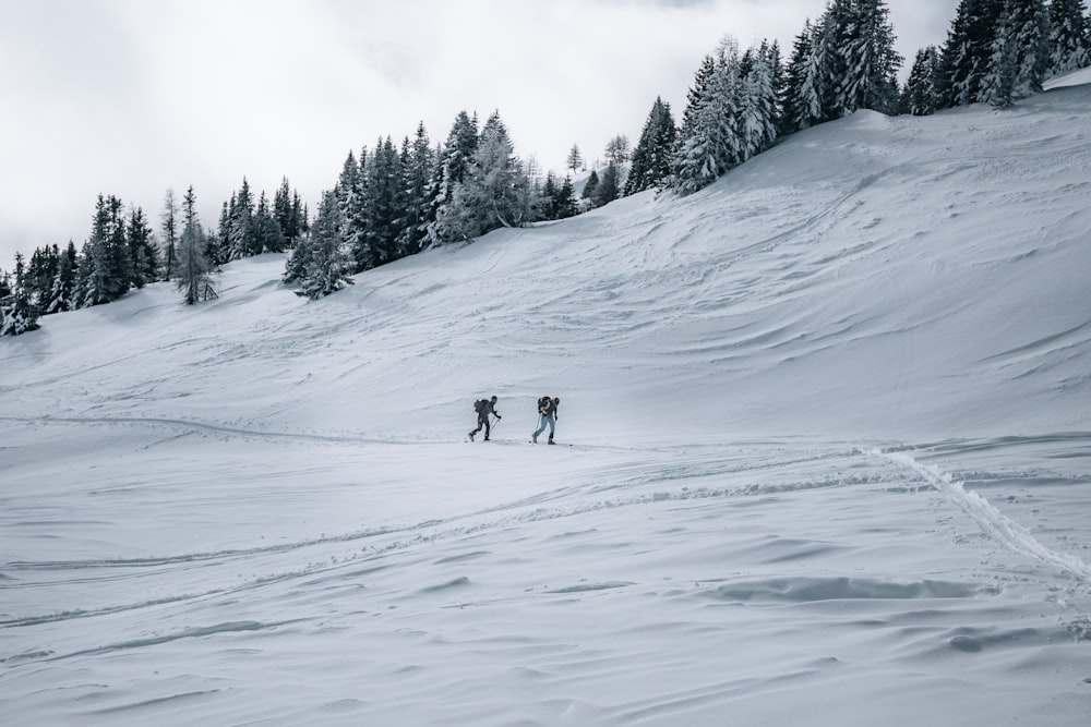 a couple of people riding skis down a snow covered slope