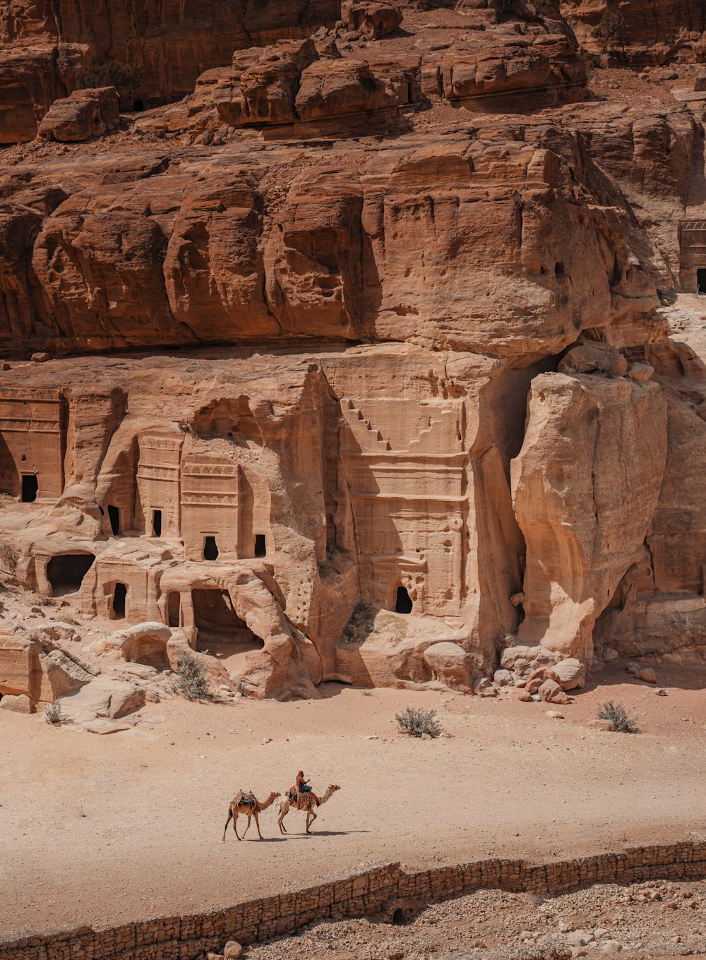 a couple of people riding on the backs of camels