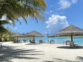 Sunlit tropical beach with straw umbrellas and lounge chairs arranged on the sandy shore. Palm trees provide shade, and the clear turquoise water reflects the blue sky with fluffy white clouds in the distance.