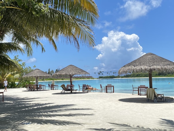 Sunlit tropical beach with straw umbrellas and lounge chairs arranged on the sandy shore. Palm trees provide shade, and the clear turquoise water reflects the blue sky with fluffy white clouds in the distance.