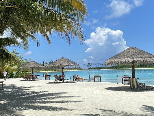 Sunlit tropical beach with straw umbrellas and lounge chairs arranged on the sandy shore. Palm trees provide shade, and the clear turquoise water reflects the blue sky with fluffy white clouds in the distance.