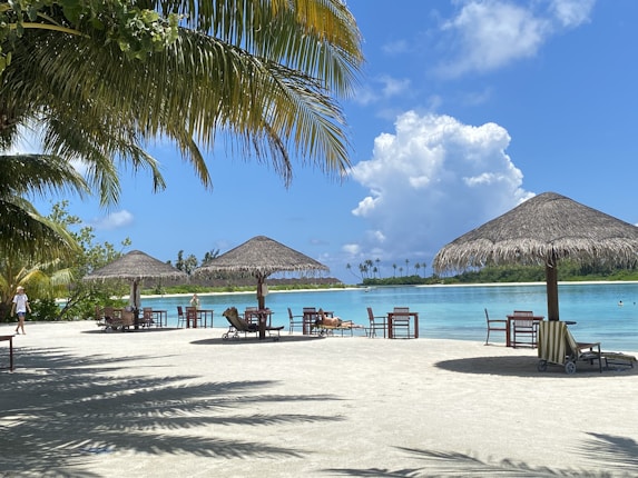 Sunlit tropical beach with straw umbrellas and lounge chairs arranged on the sandy shore. Palm trees provide shade, and the clear turquoise water reflects the blue sky with fluffy white clouds in the distance.