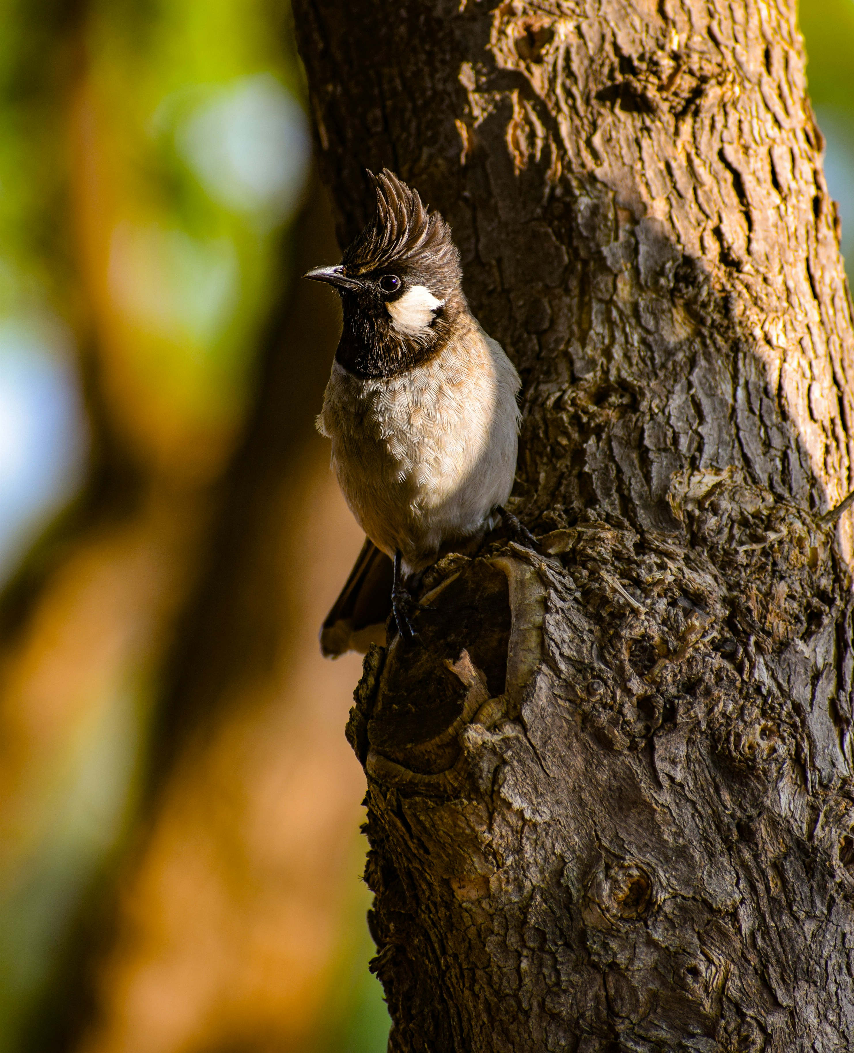 Photo by maheerakulsoom