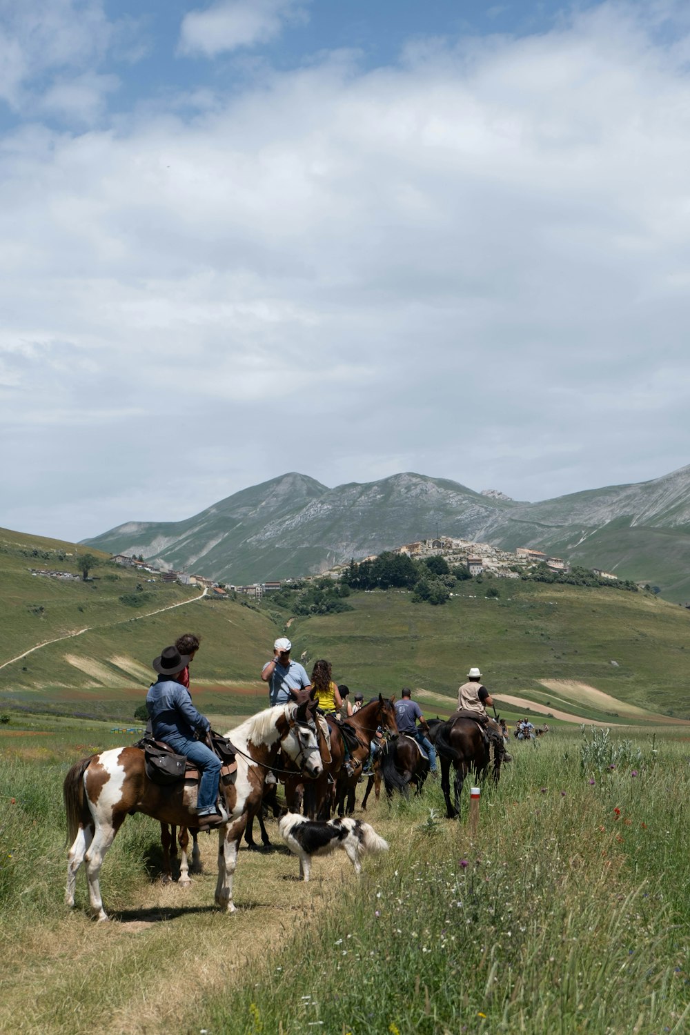 a group of people riding on the backs of horses