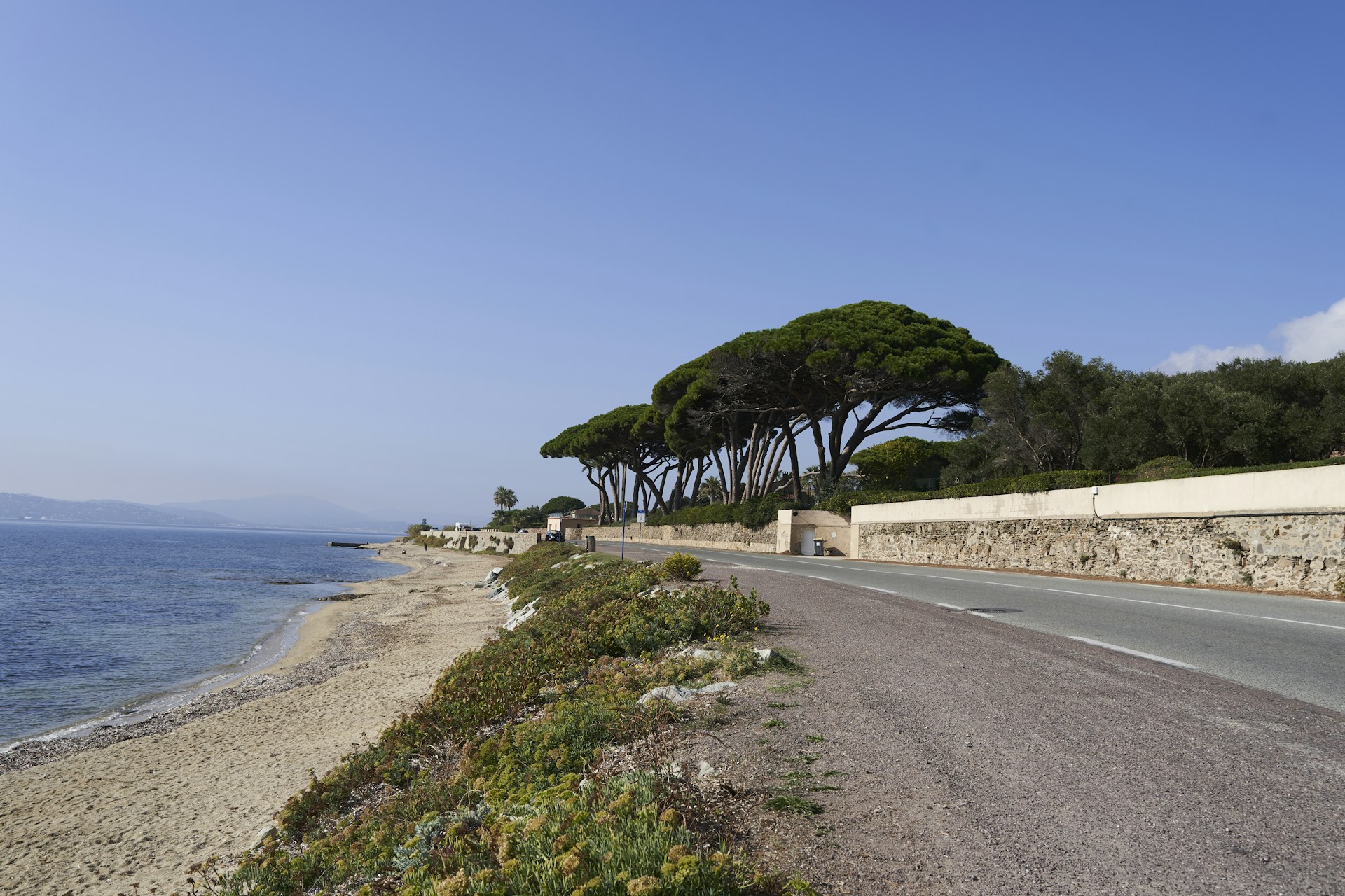 a road next to the ocean with trees on top of it
