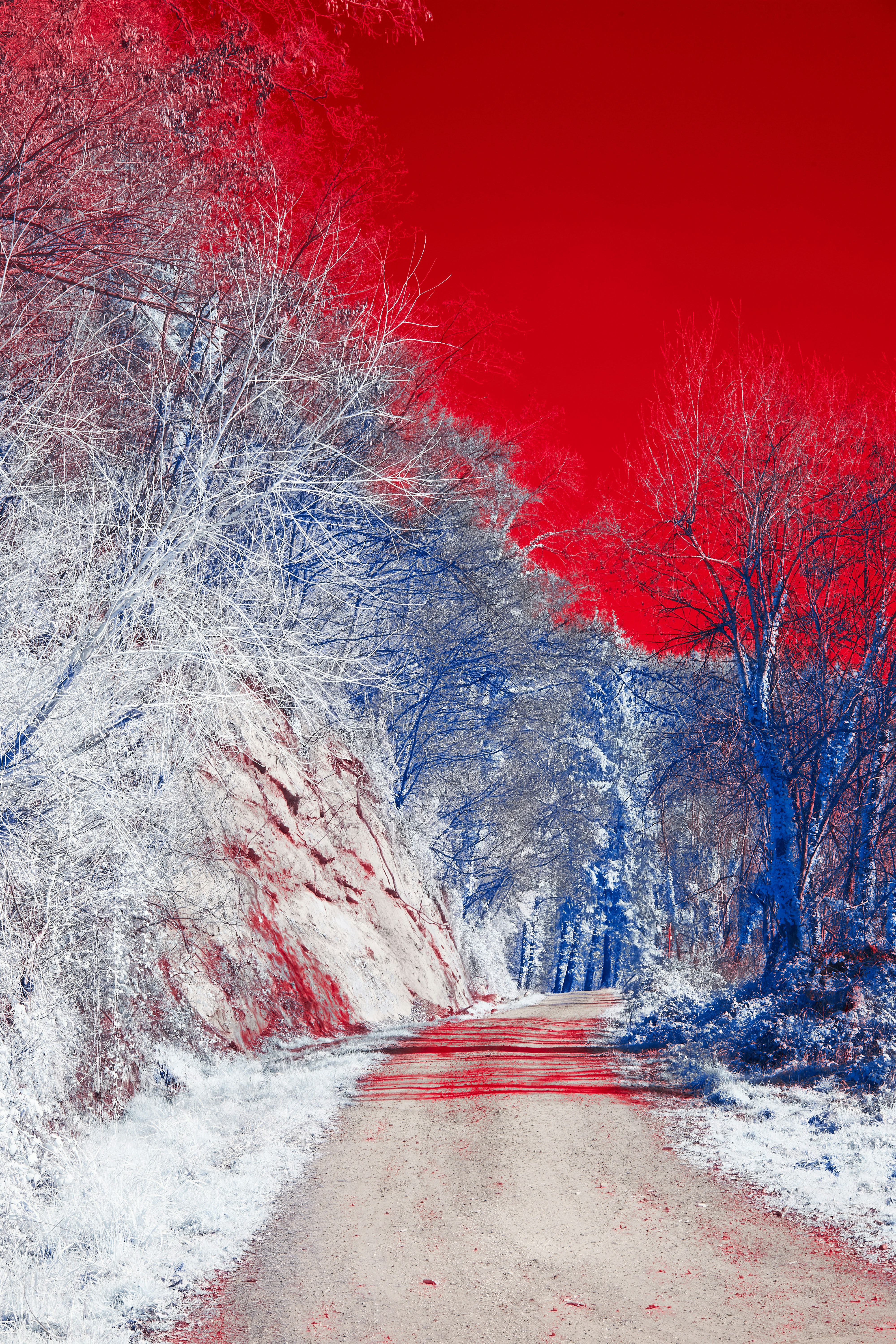 Photo by wolfgang_hasselmann