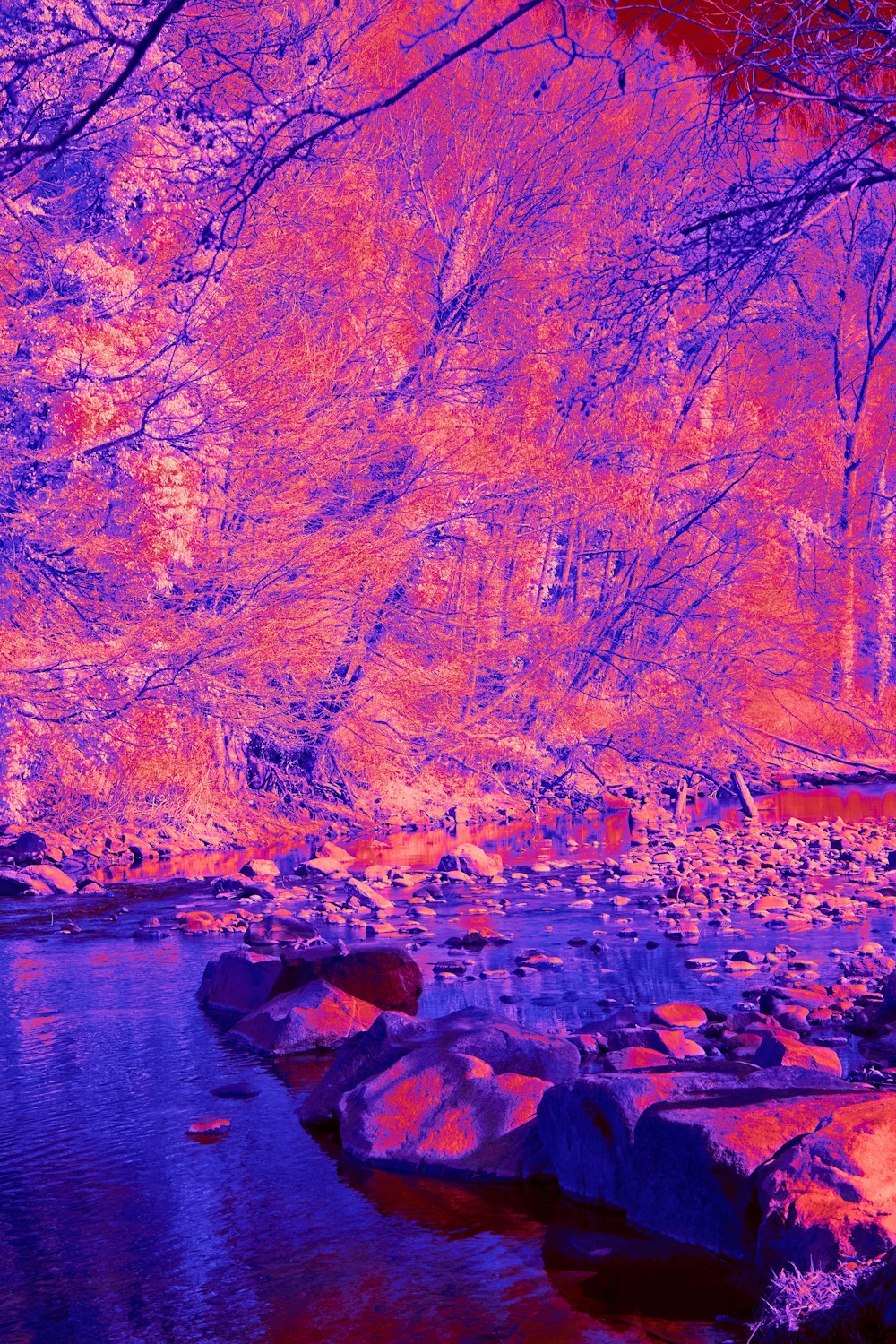 a infrared image of a river in the woods