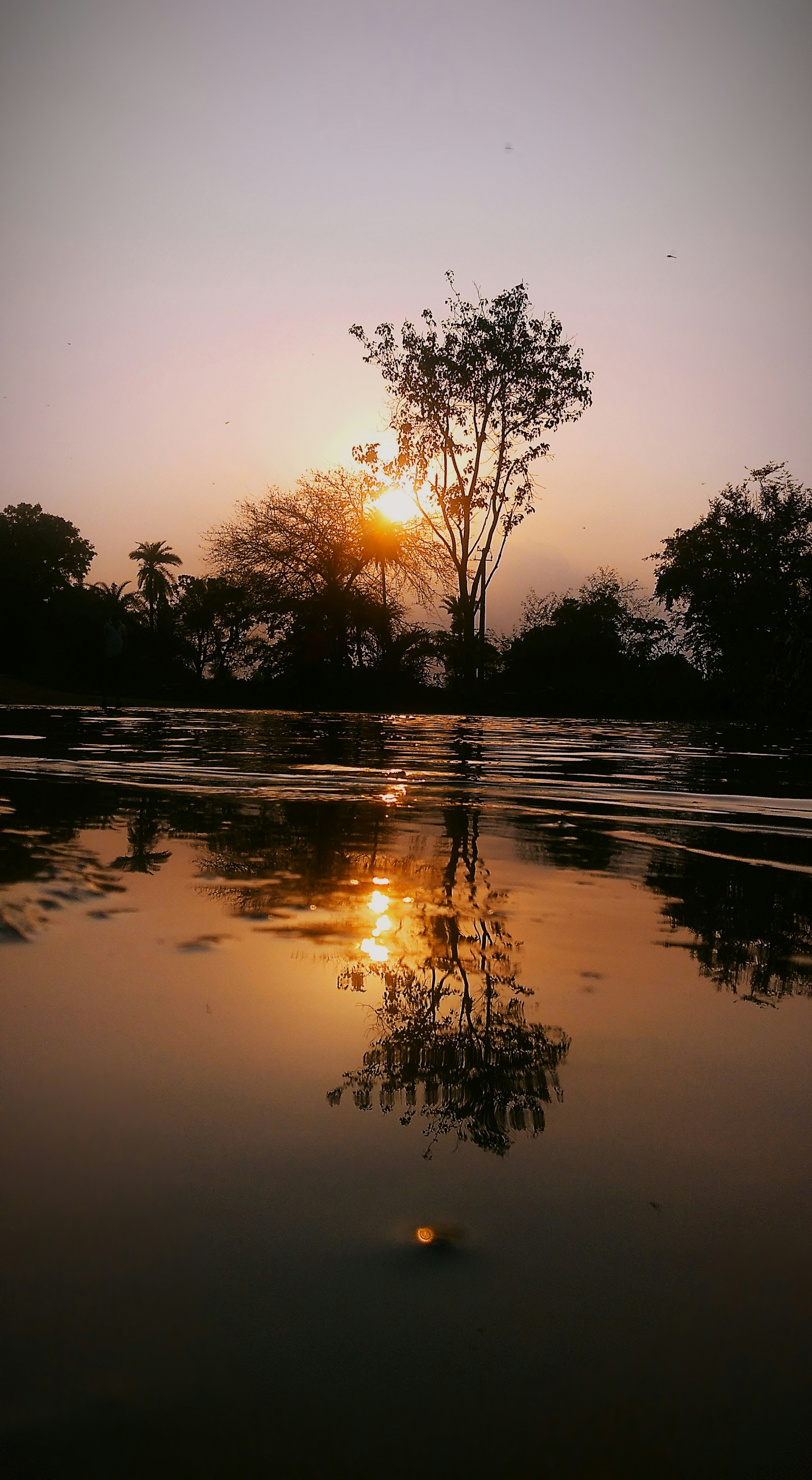 woman wearing yellow long-sleeved dress under white clouds and blue sky during daytime