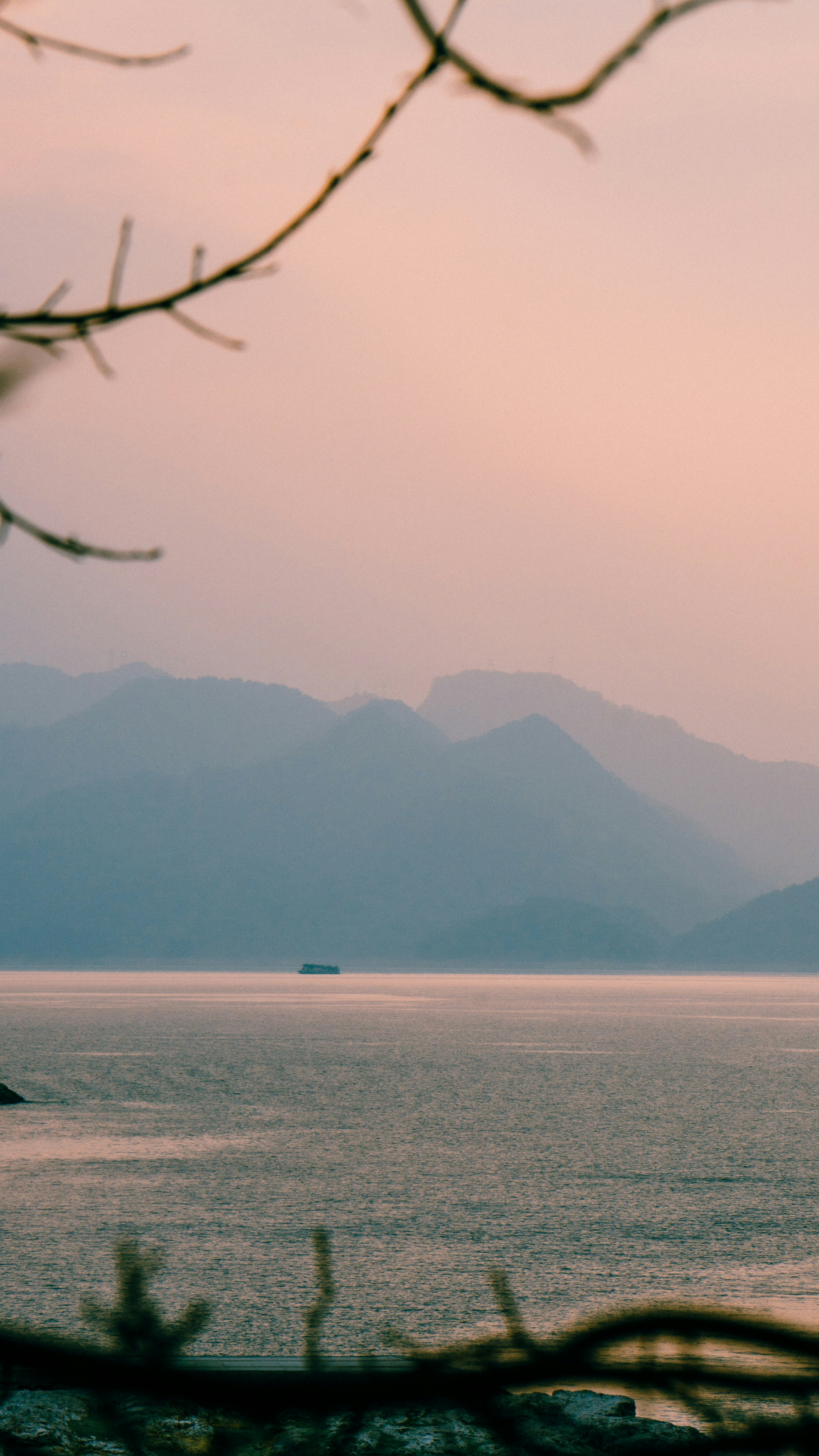 Photo by hausyang271