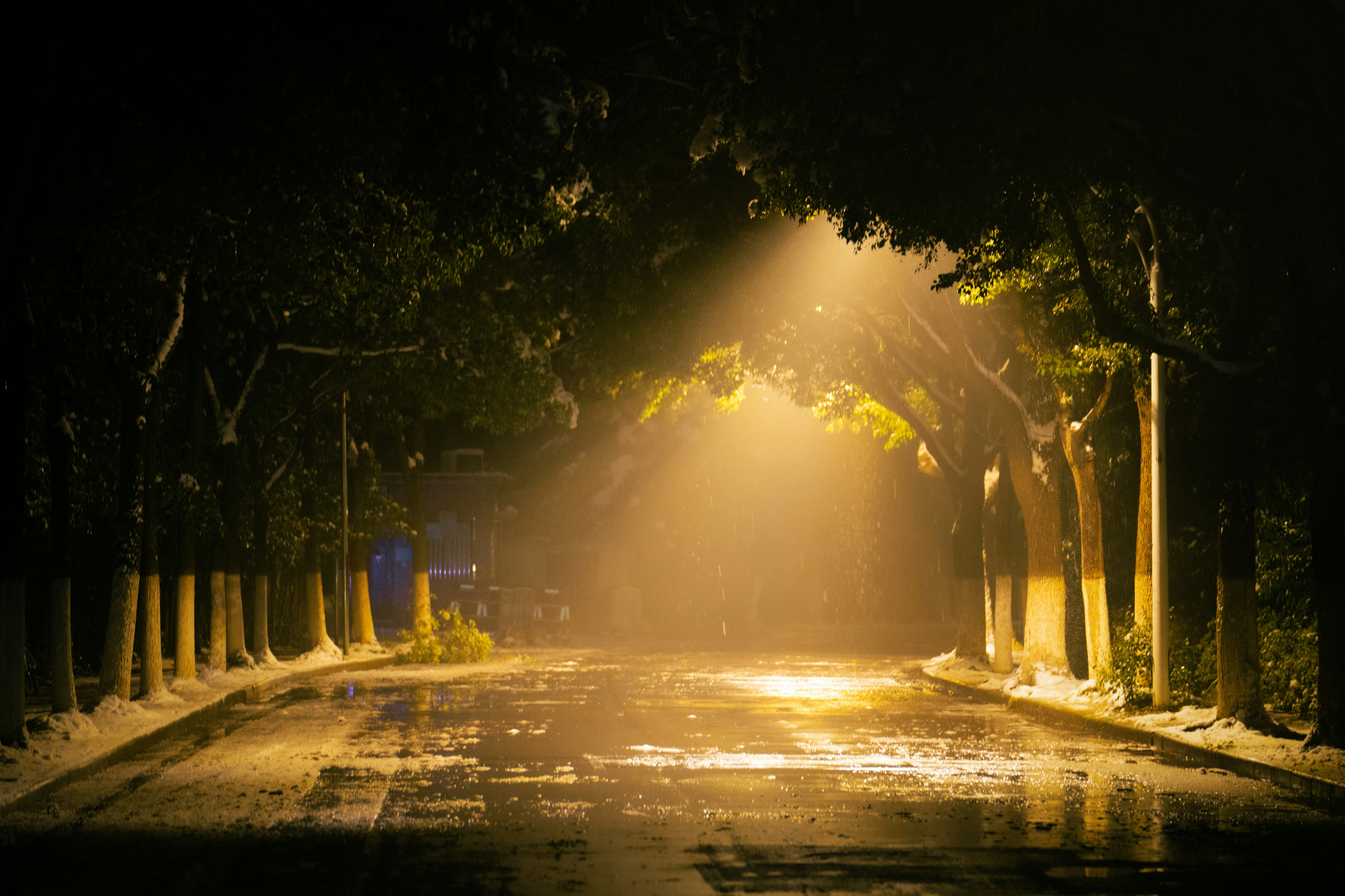 Photo by wangsheeran