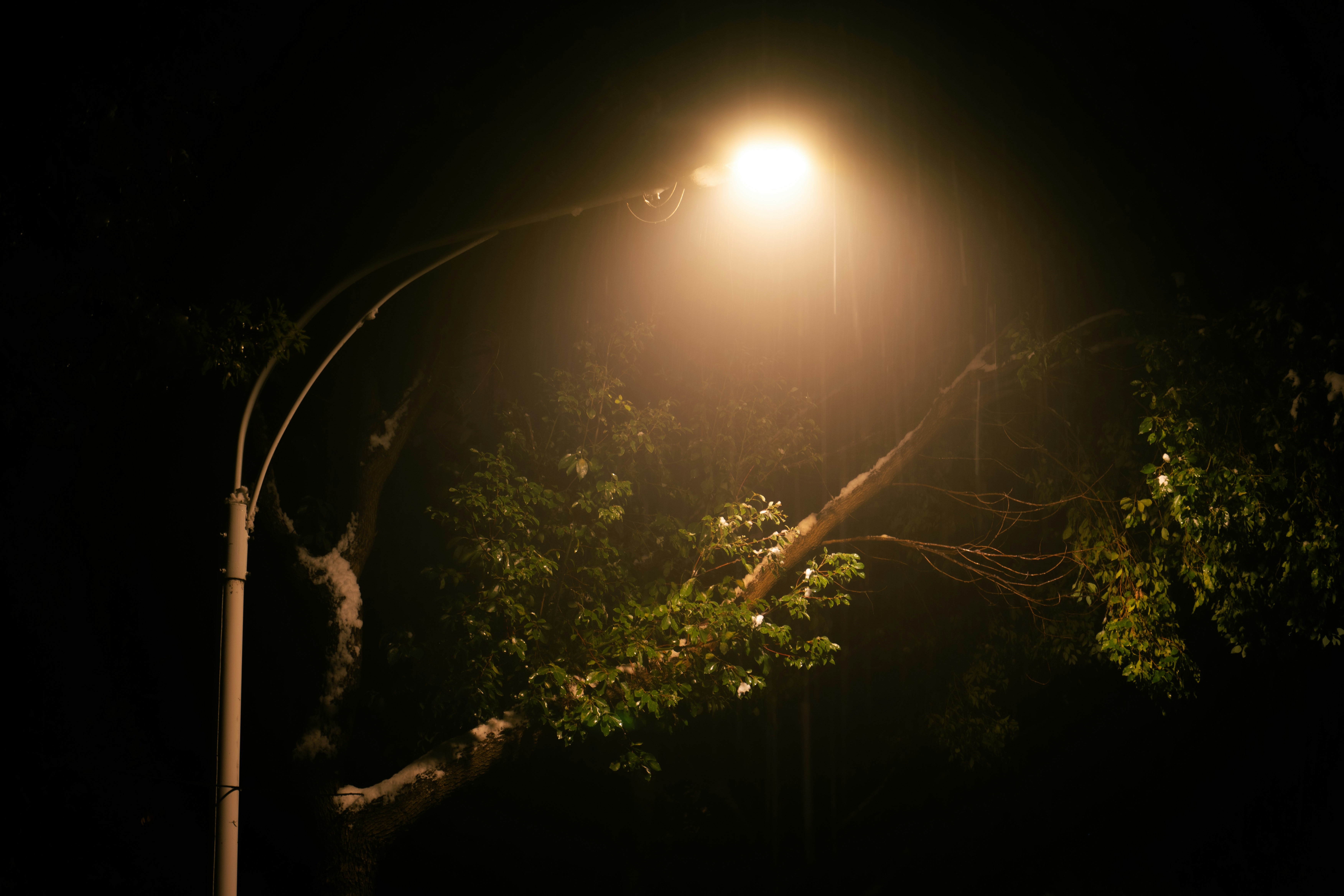 Photo by wangsheeran