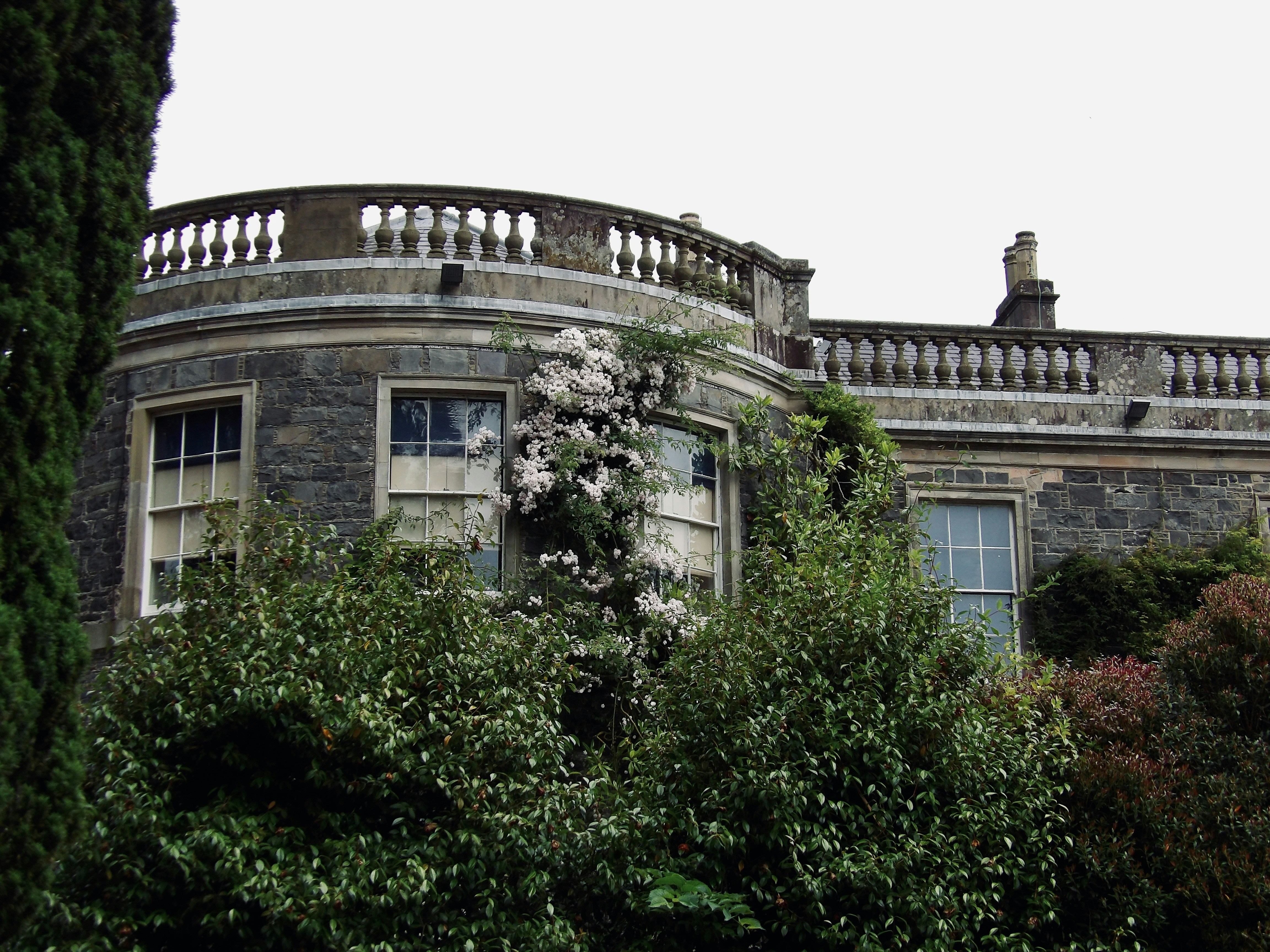 Photo by moonchild777