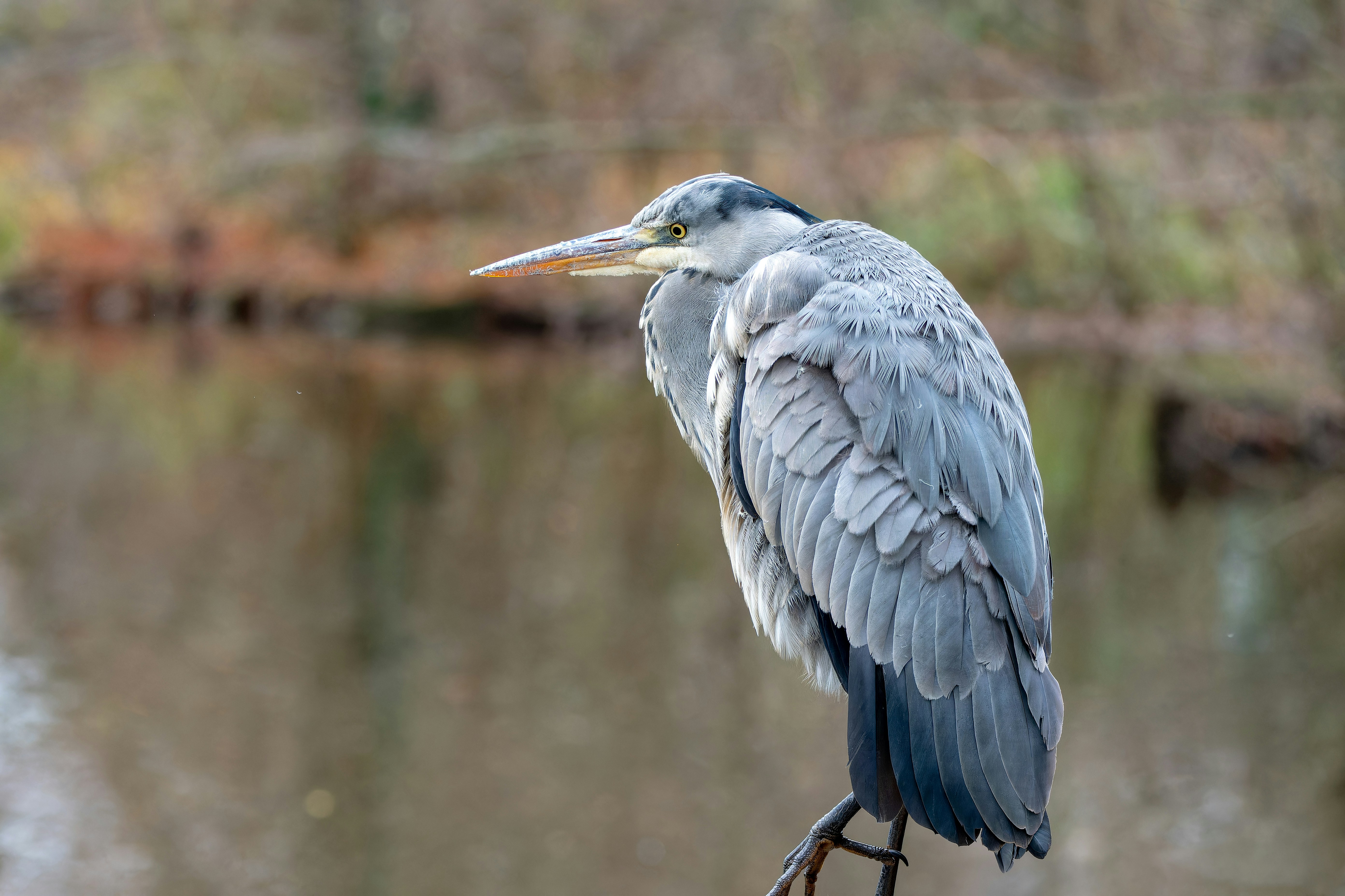 Photo by siegfriedpoepperl