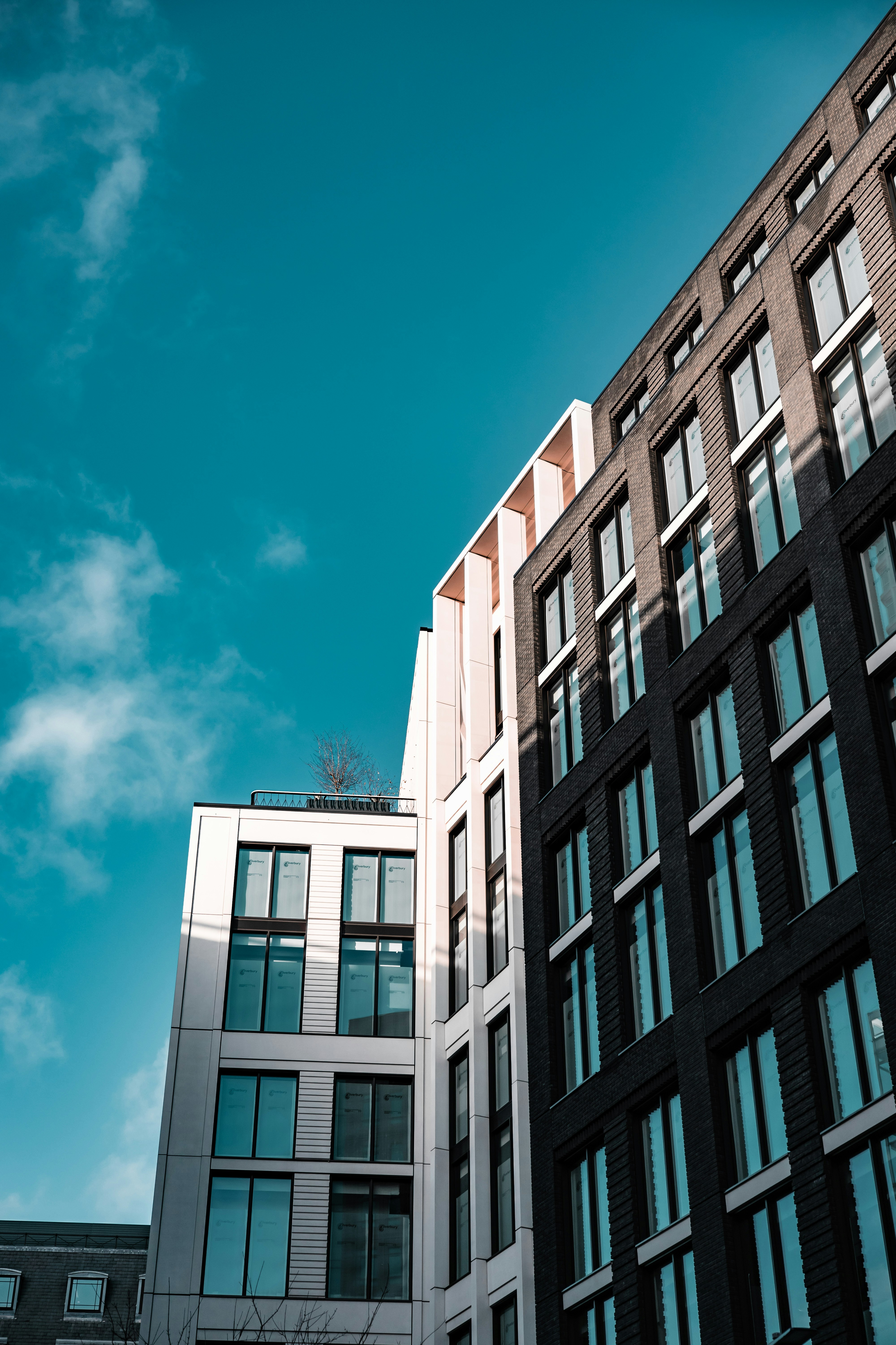 Photo by romanellophotos