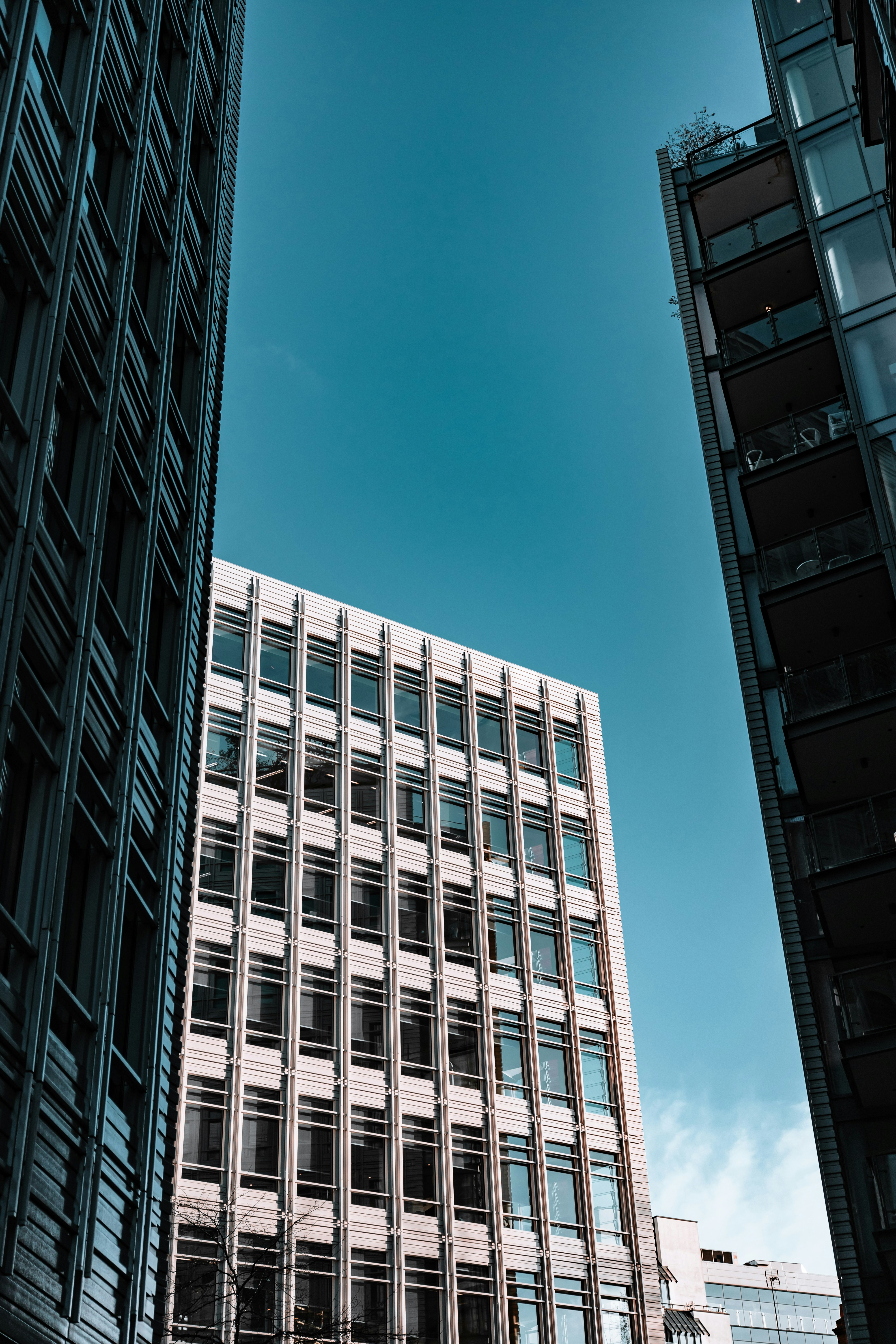 Photo by romanellophotos