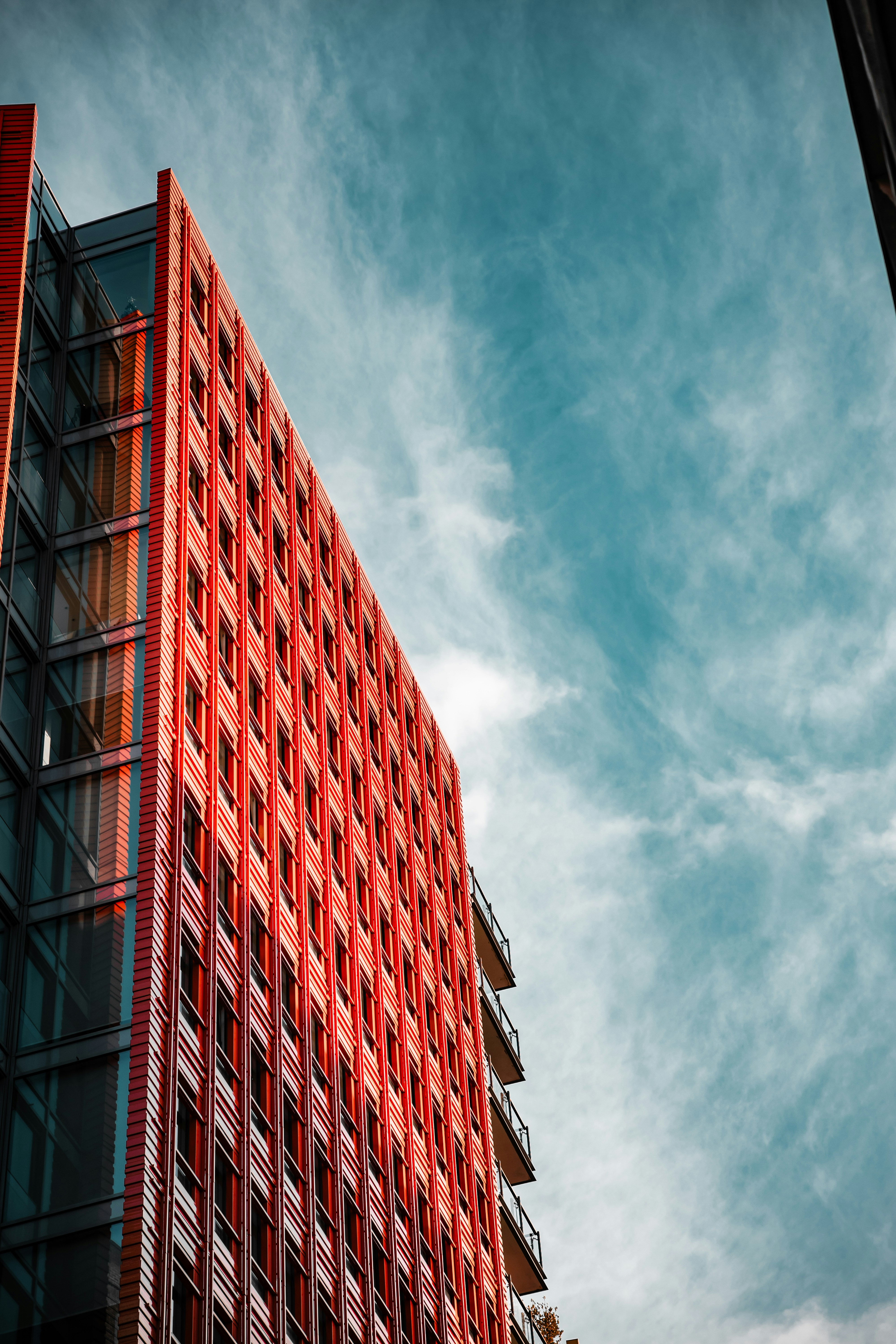 Photo by romanellophotos