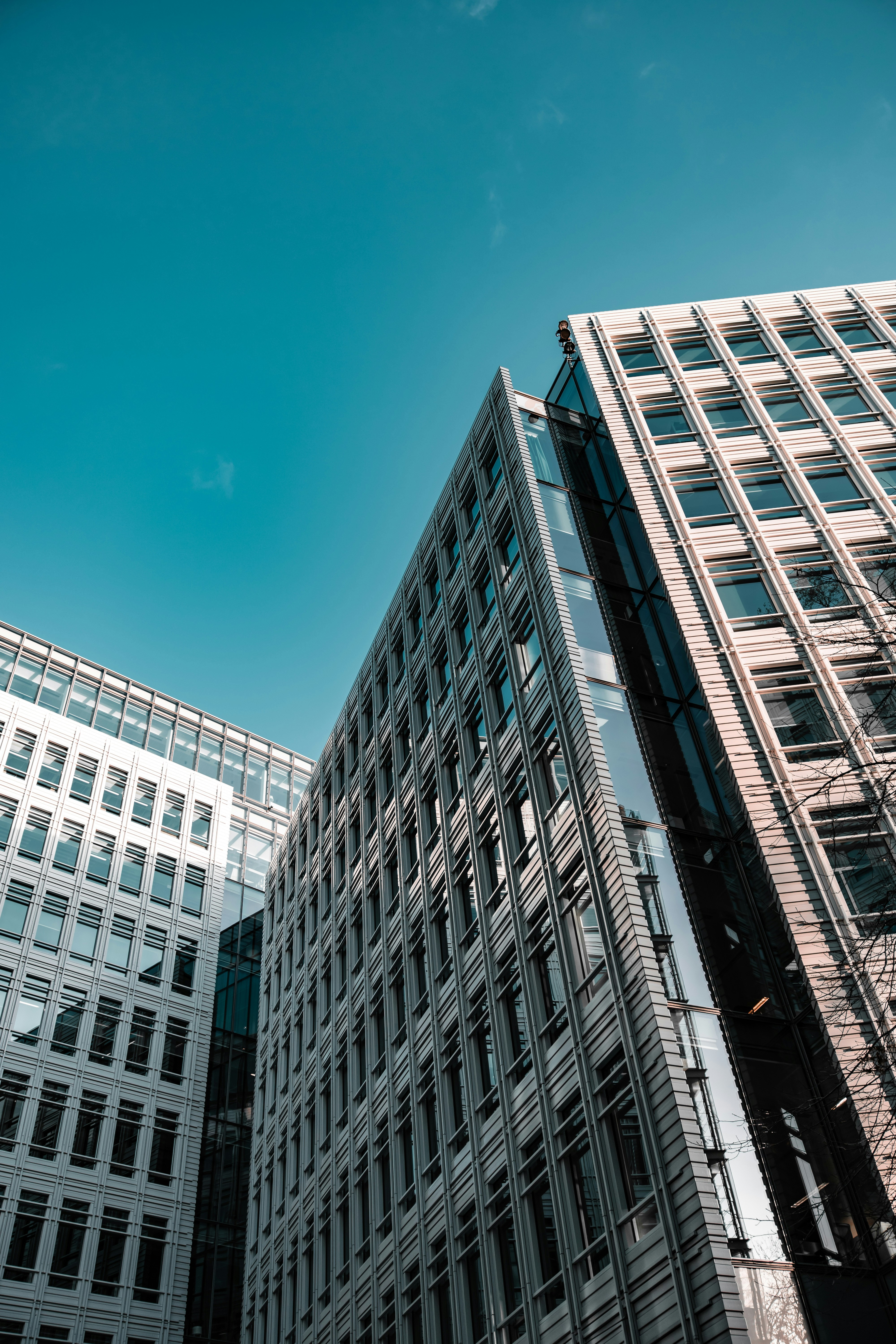 Photo by romanellophotos