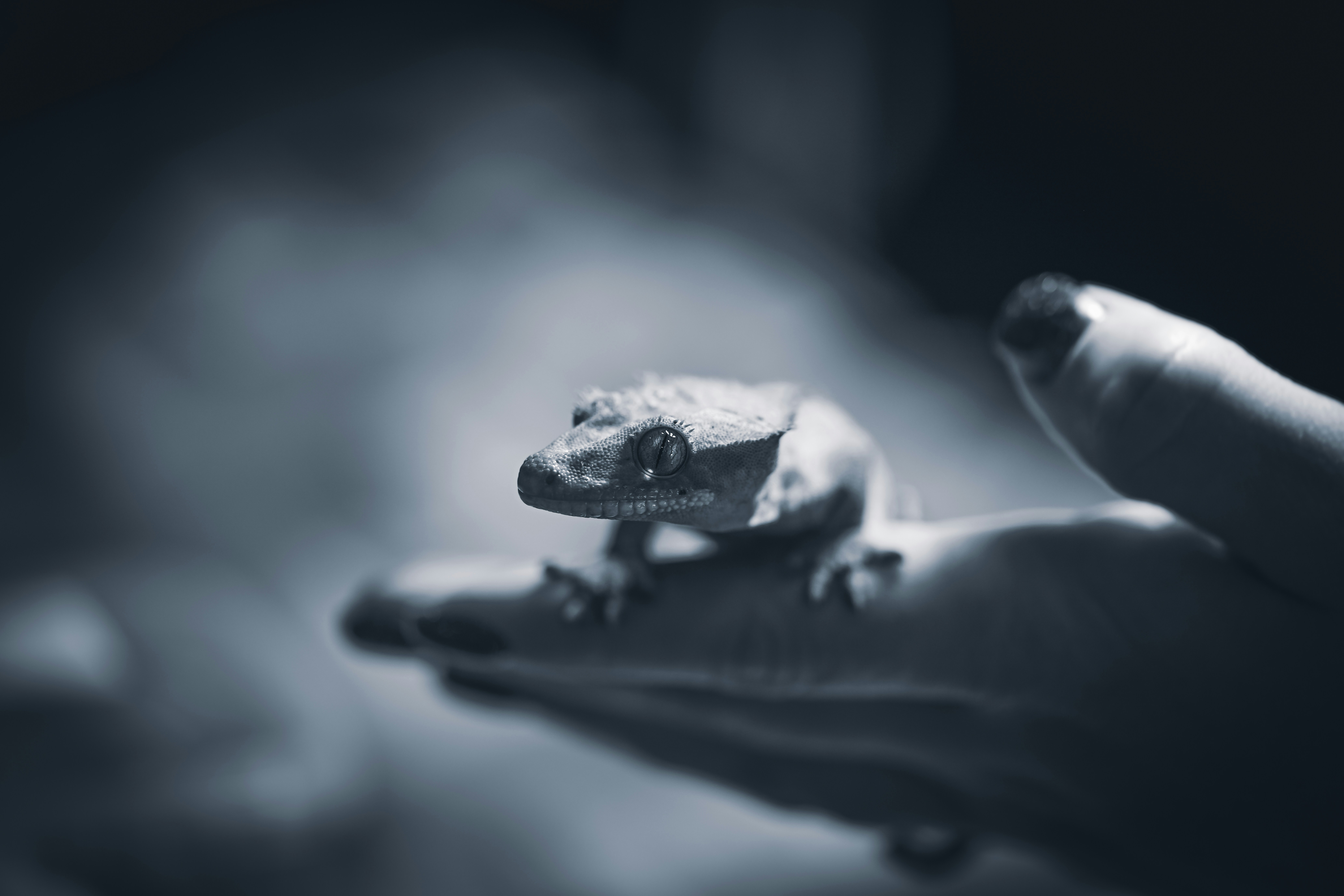 Photo by andreystrizhkov