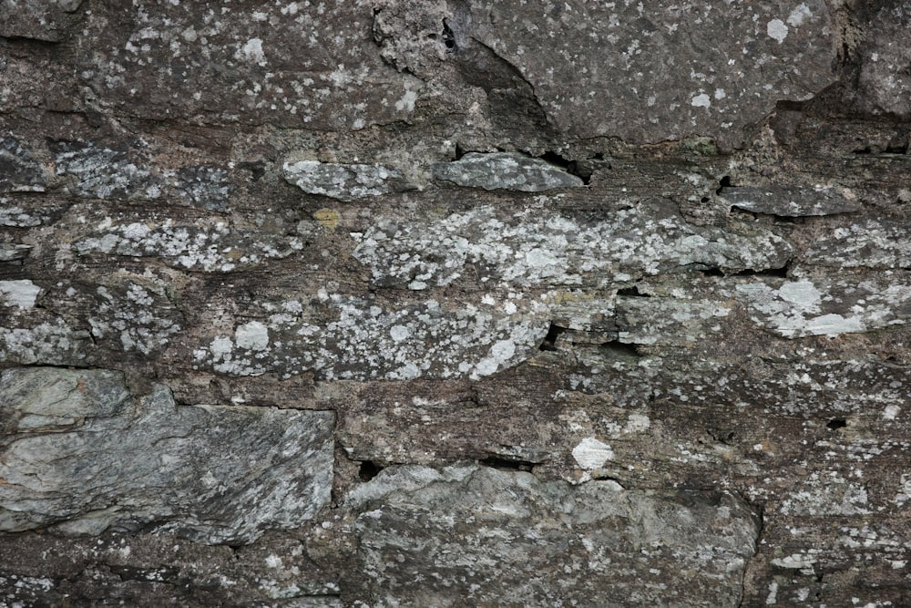 a close up of a stone wall with lichen