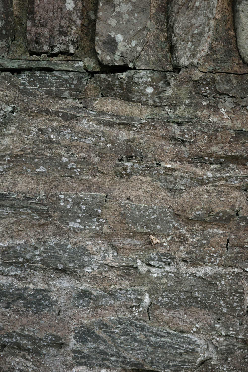 a bird is perched on a rock wall