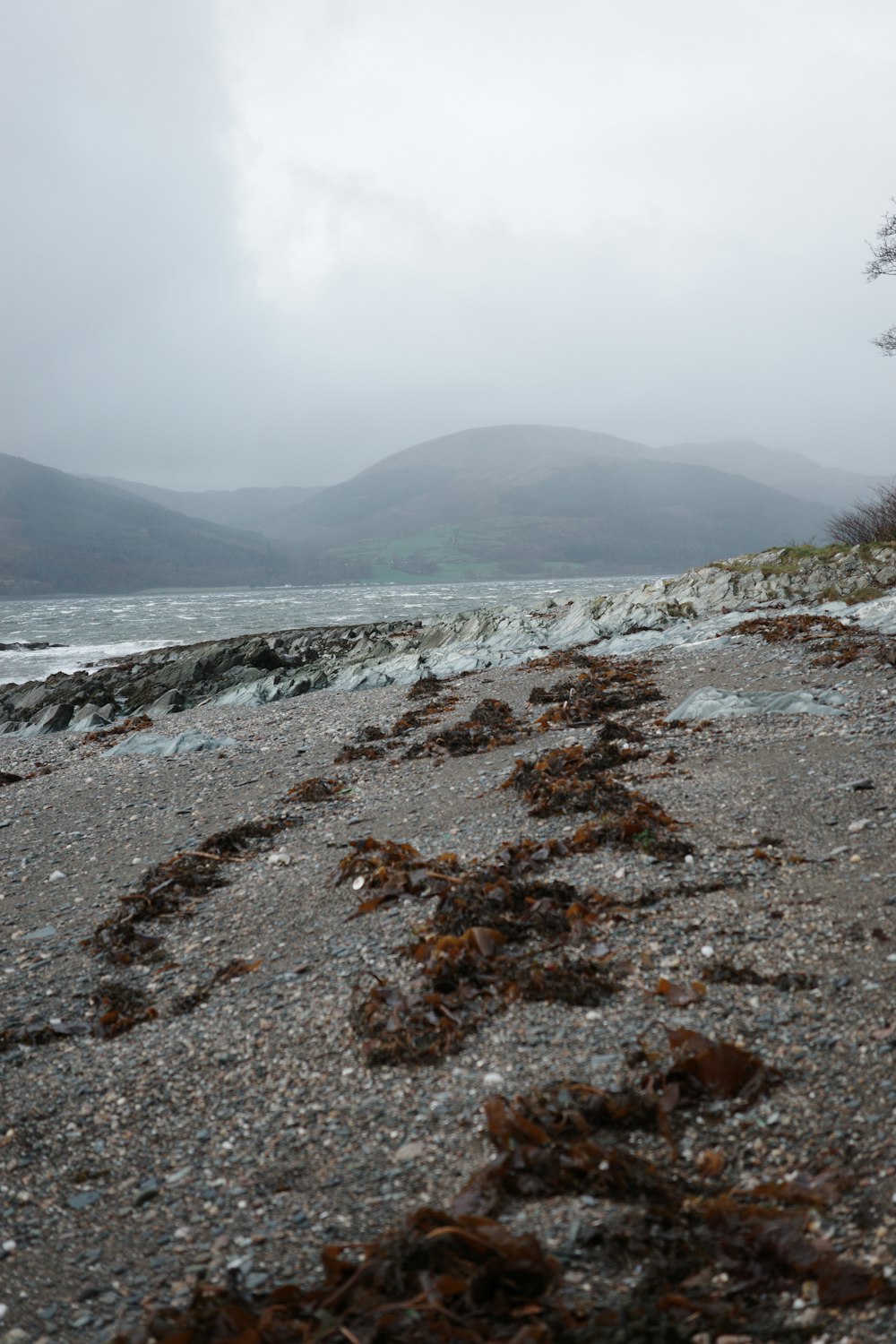 a rocky beach with a body of water in the distance