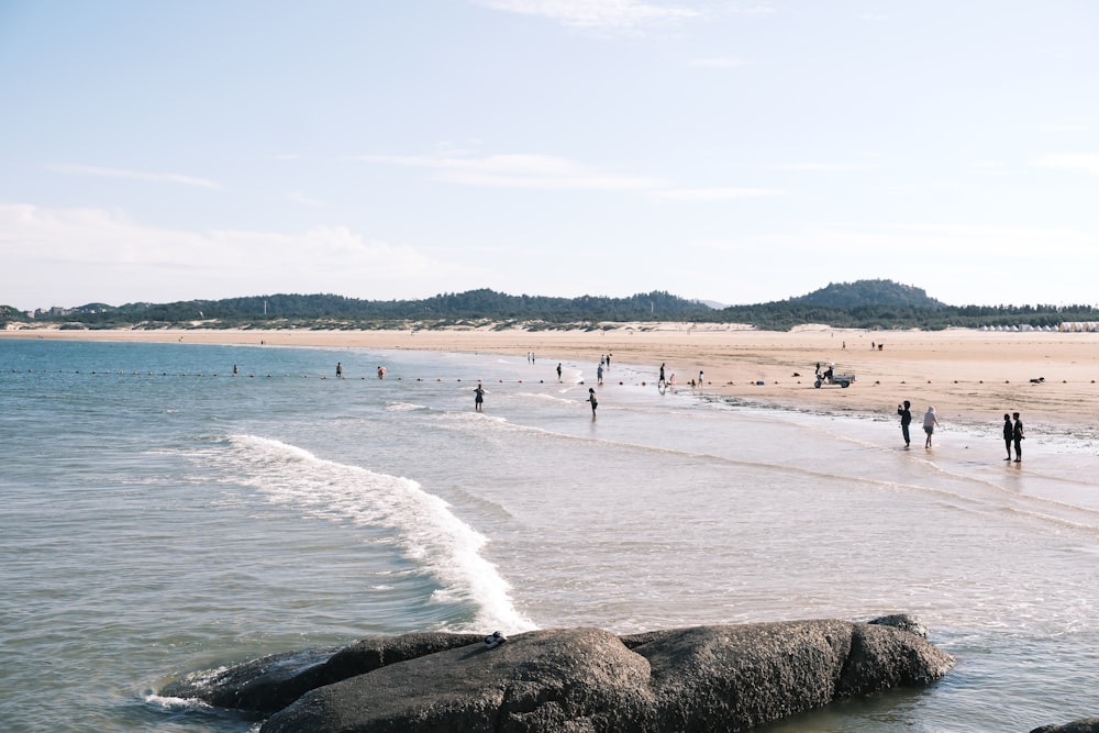 a group of people standing on top of a sandy beach