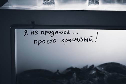 The image shows a handwritten message in Russian on a glass surface, stating 'Я не продаюсь... просто красивый!', which translates to 'I am not for sale... just beautiful!'. Below the message are blurred shapes, which seem to be objects vaguely resembling leaves or shells. Above the glass surface, there are several plastic containers visible.