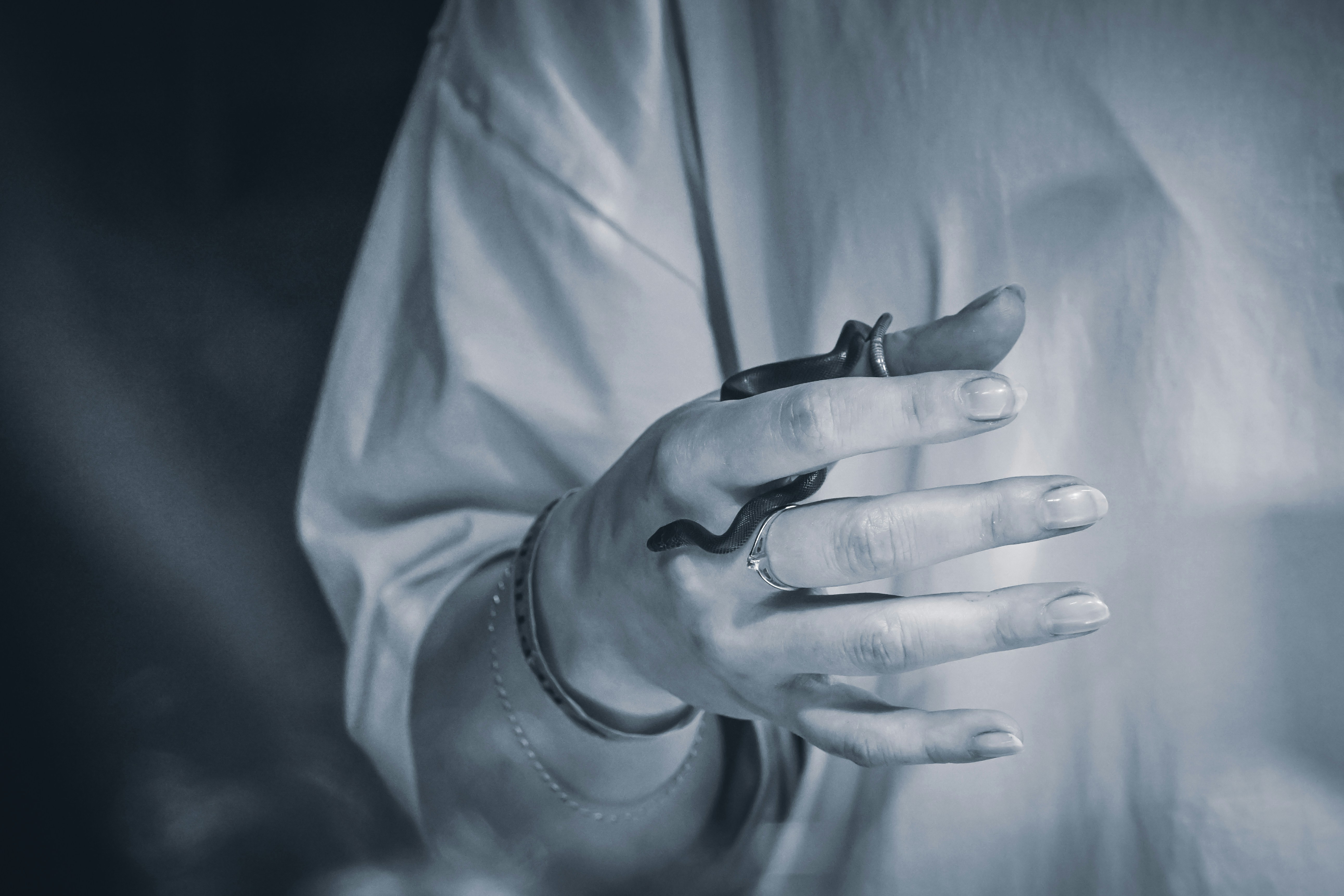 Photo by andreystrizhkov