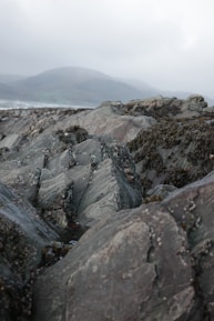 Rugged, seaweed-covered rocks in the foreground with a misty mountainous landscape in the background. The scene is cloudy and overcast, creating a moody atmosphere.